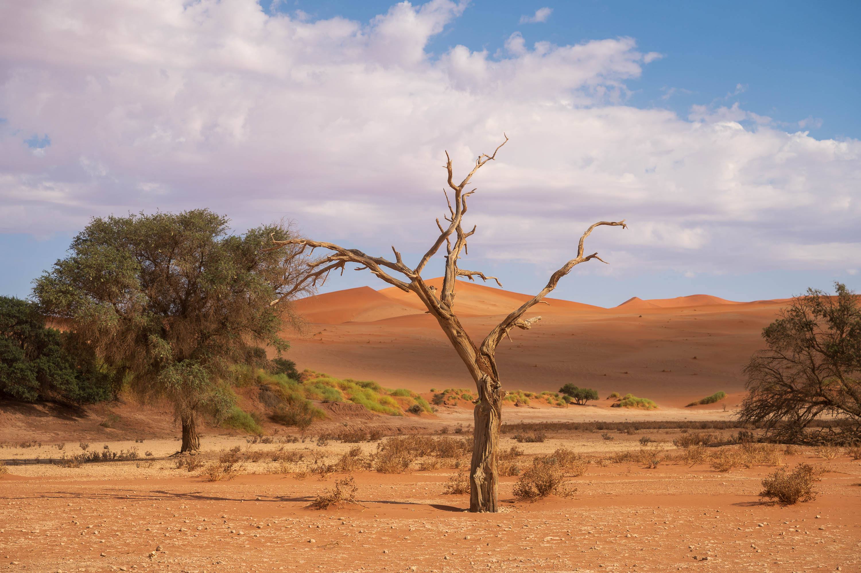 Afrika Reisefotografie 115