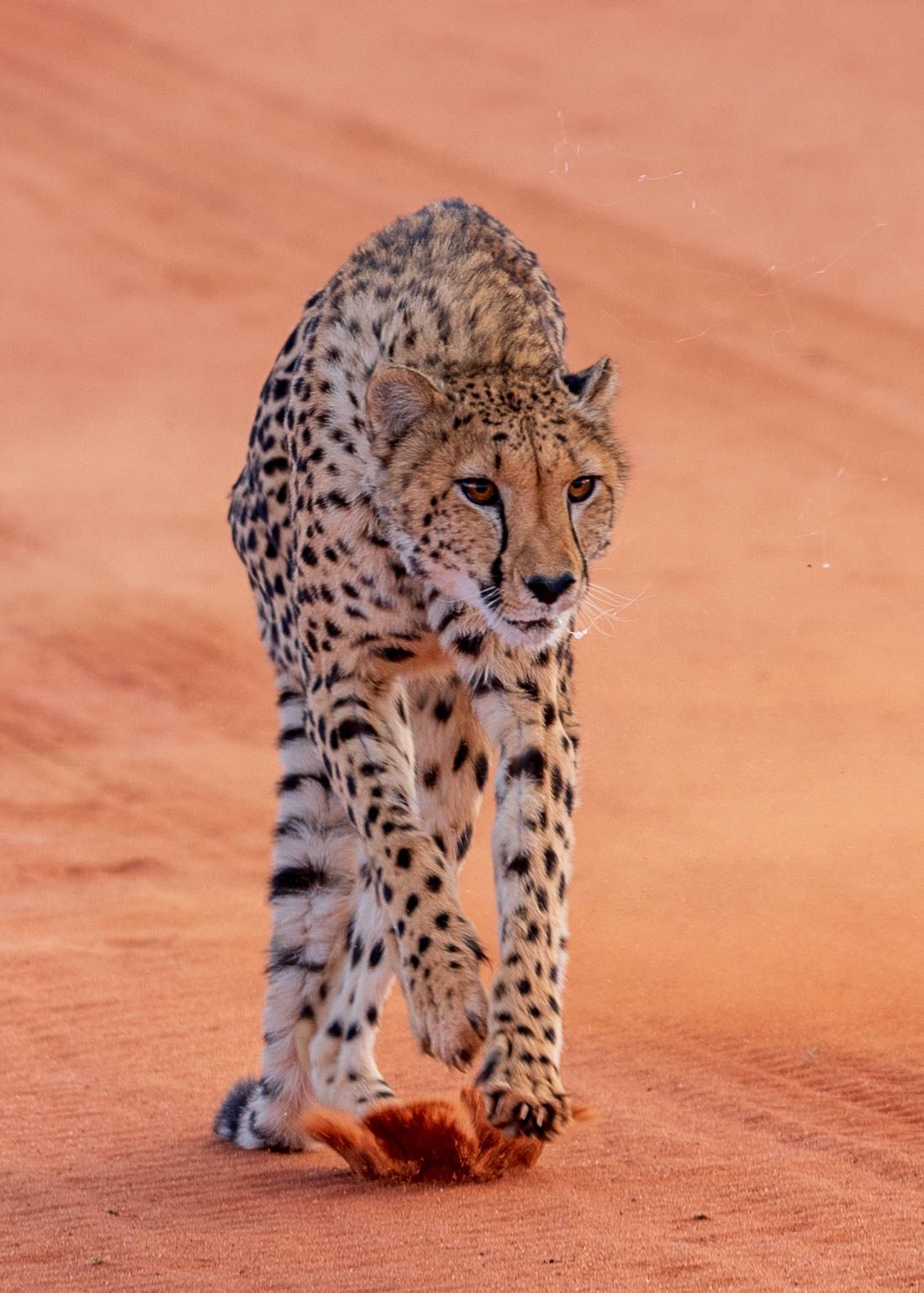 Afrika Reisefotografie 126