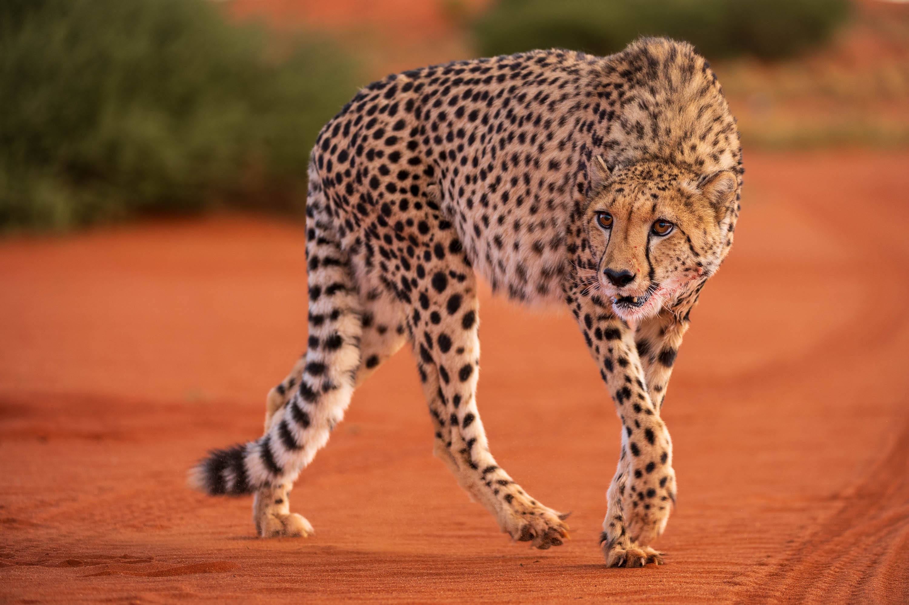 Afrika Reisefotografie 127