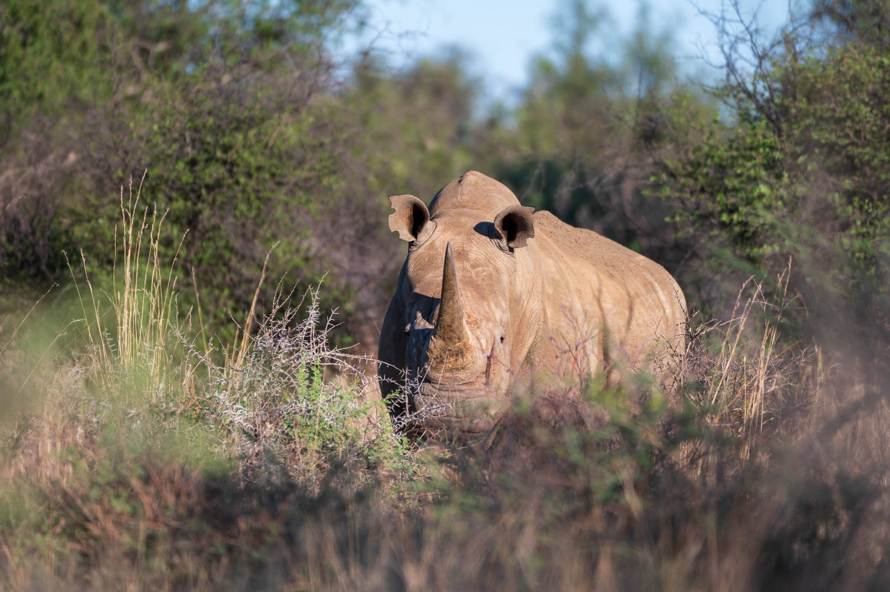 Afrika Reisefotografie 18