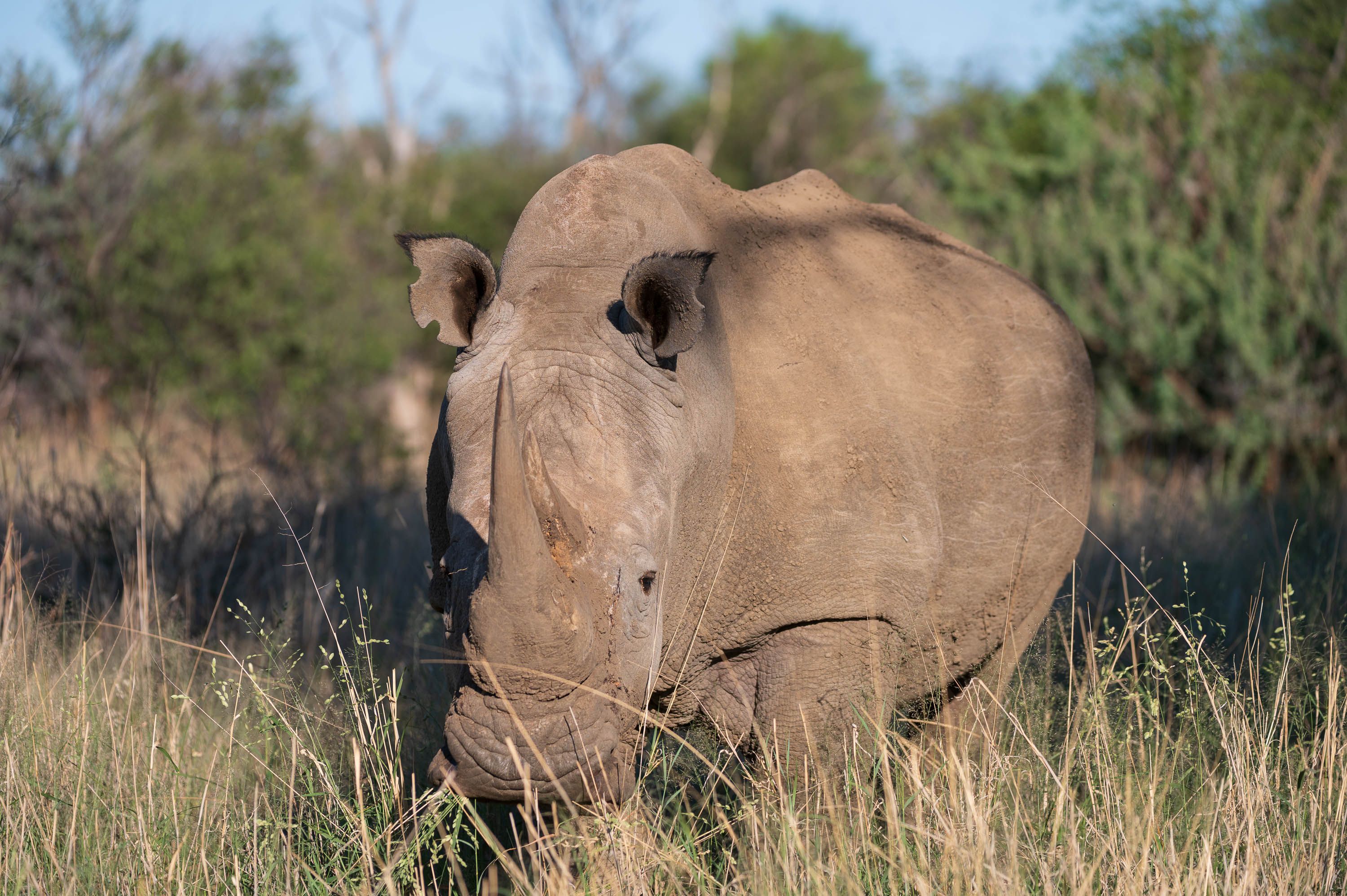 Afrika Reisefotografie 19