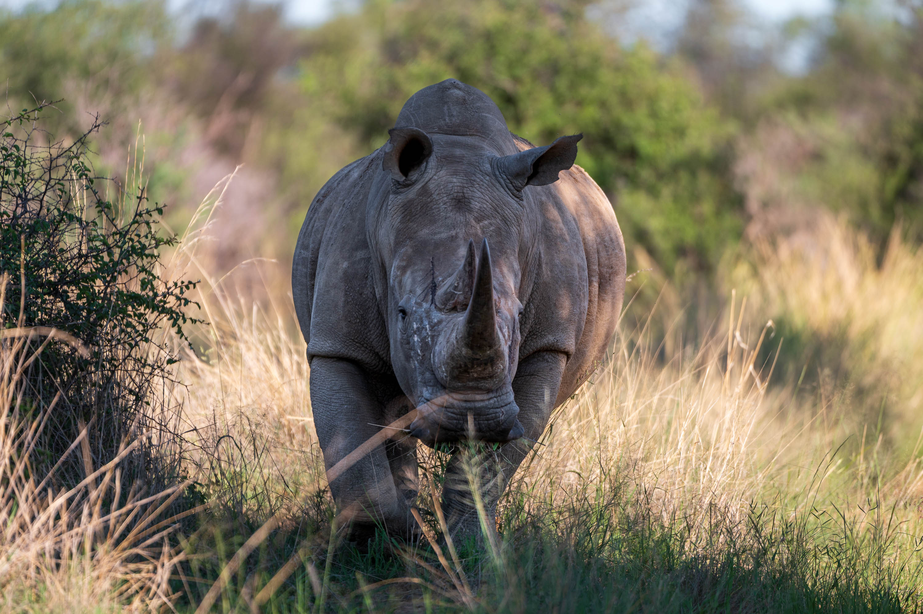 Afrika Reisefotografie 22