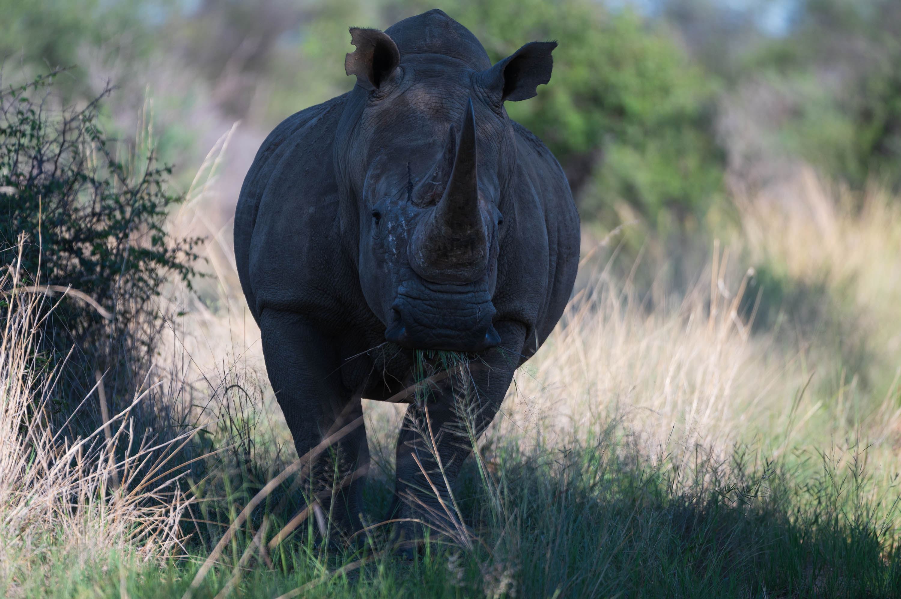 Afrika Reisefotografie 23
