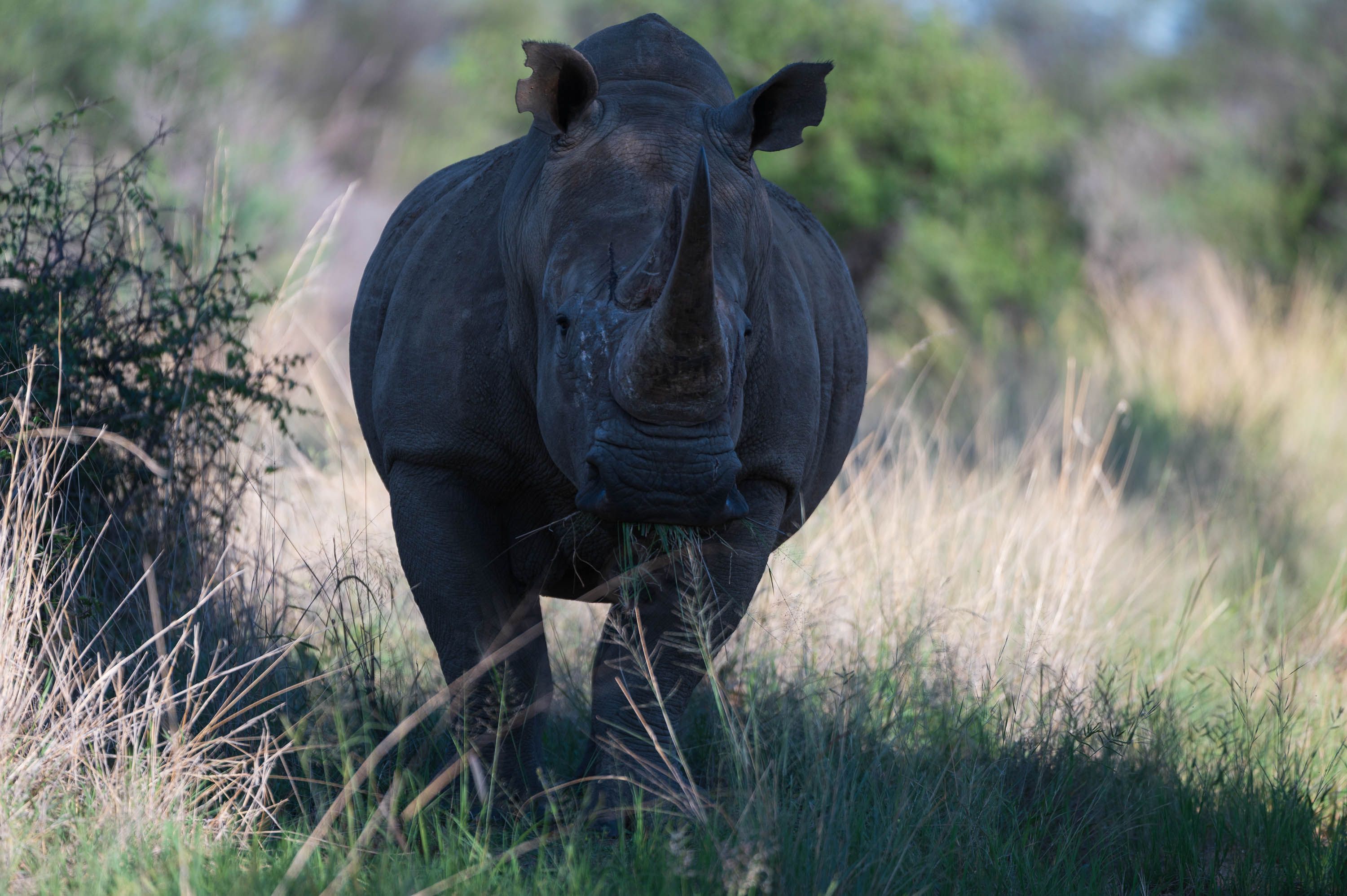 Afrika Reisefotografie 23