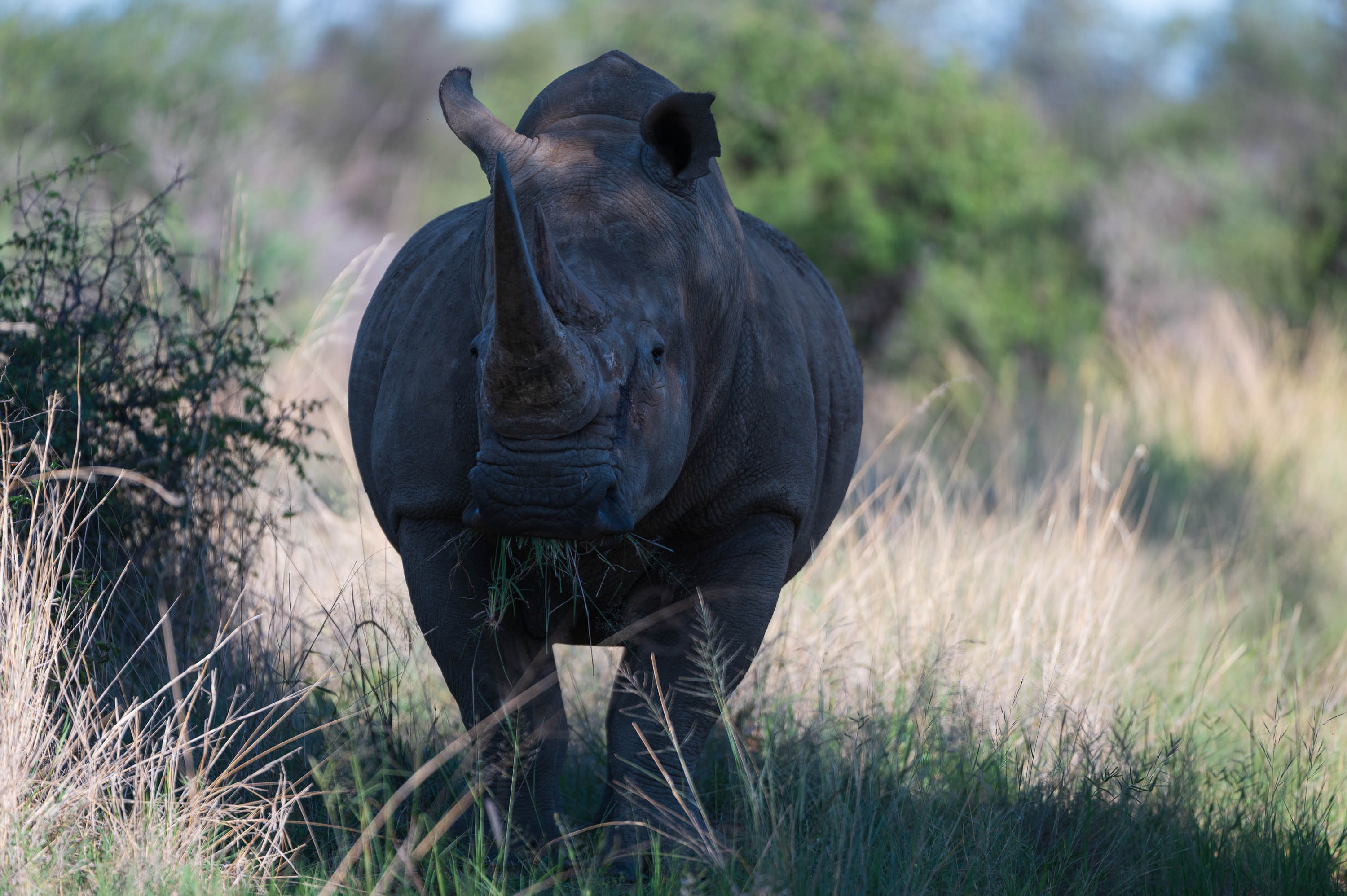Afrika Reisefotografie 24