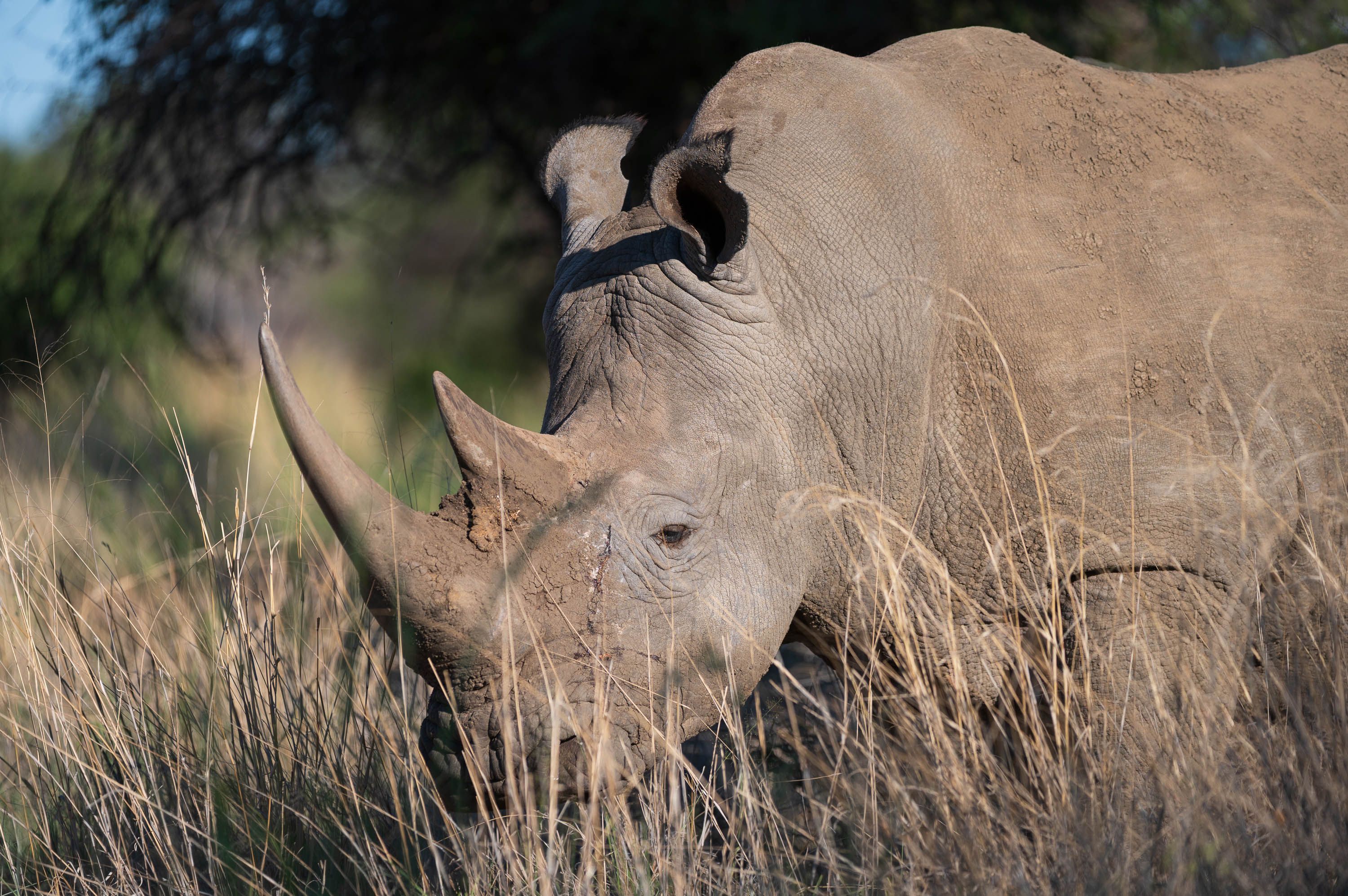 Afrika Reisefotografie 25