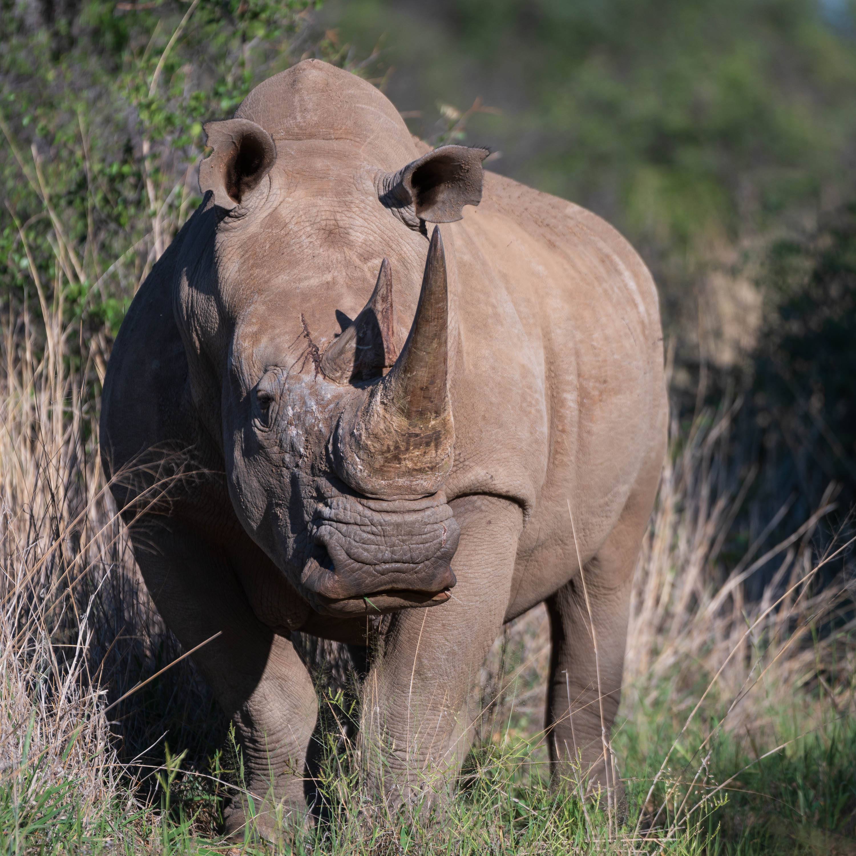 Afrika Reisefotografie 28
