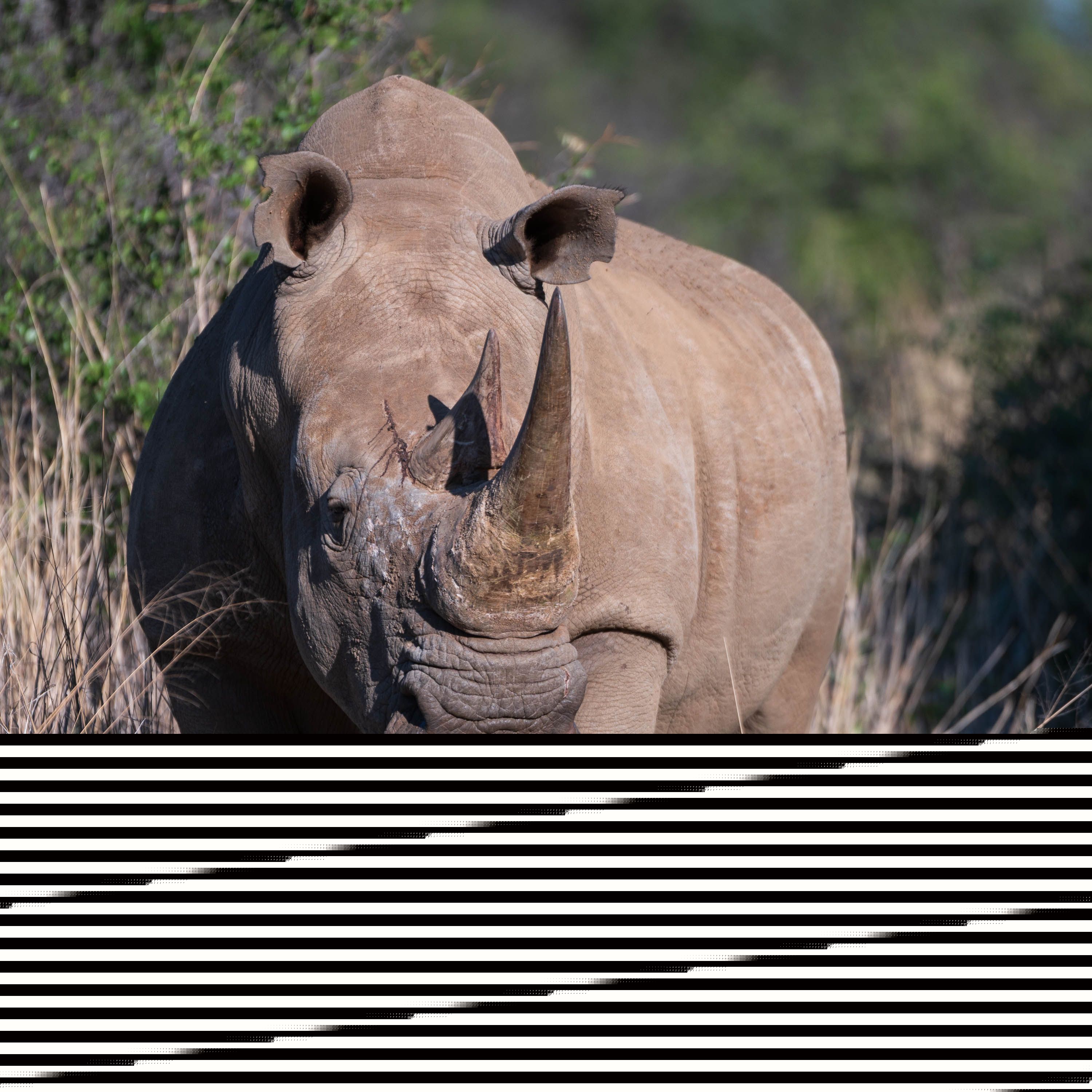 Afrika Reisefotografie 28