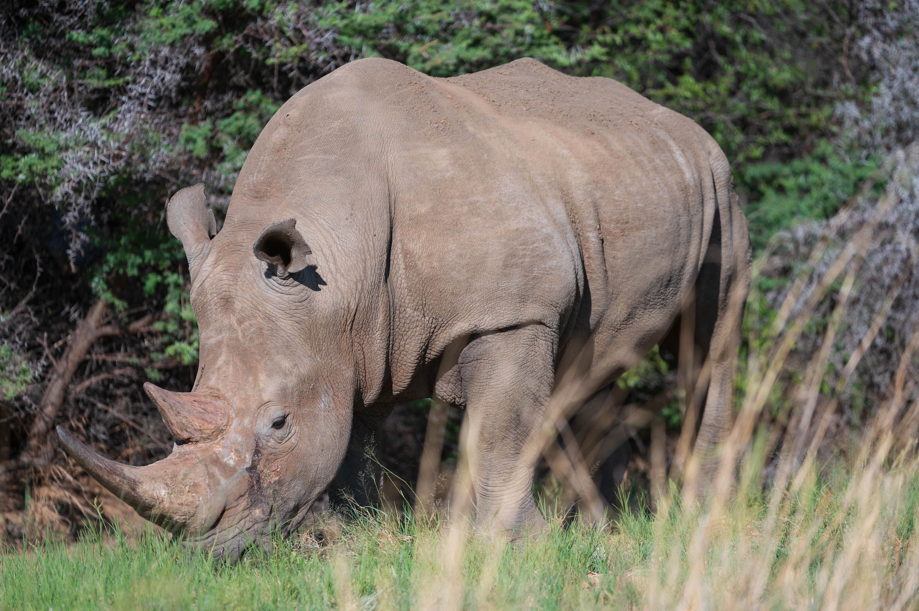 Afrika Reisefotografie 29