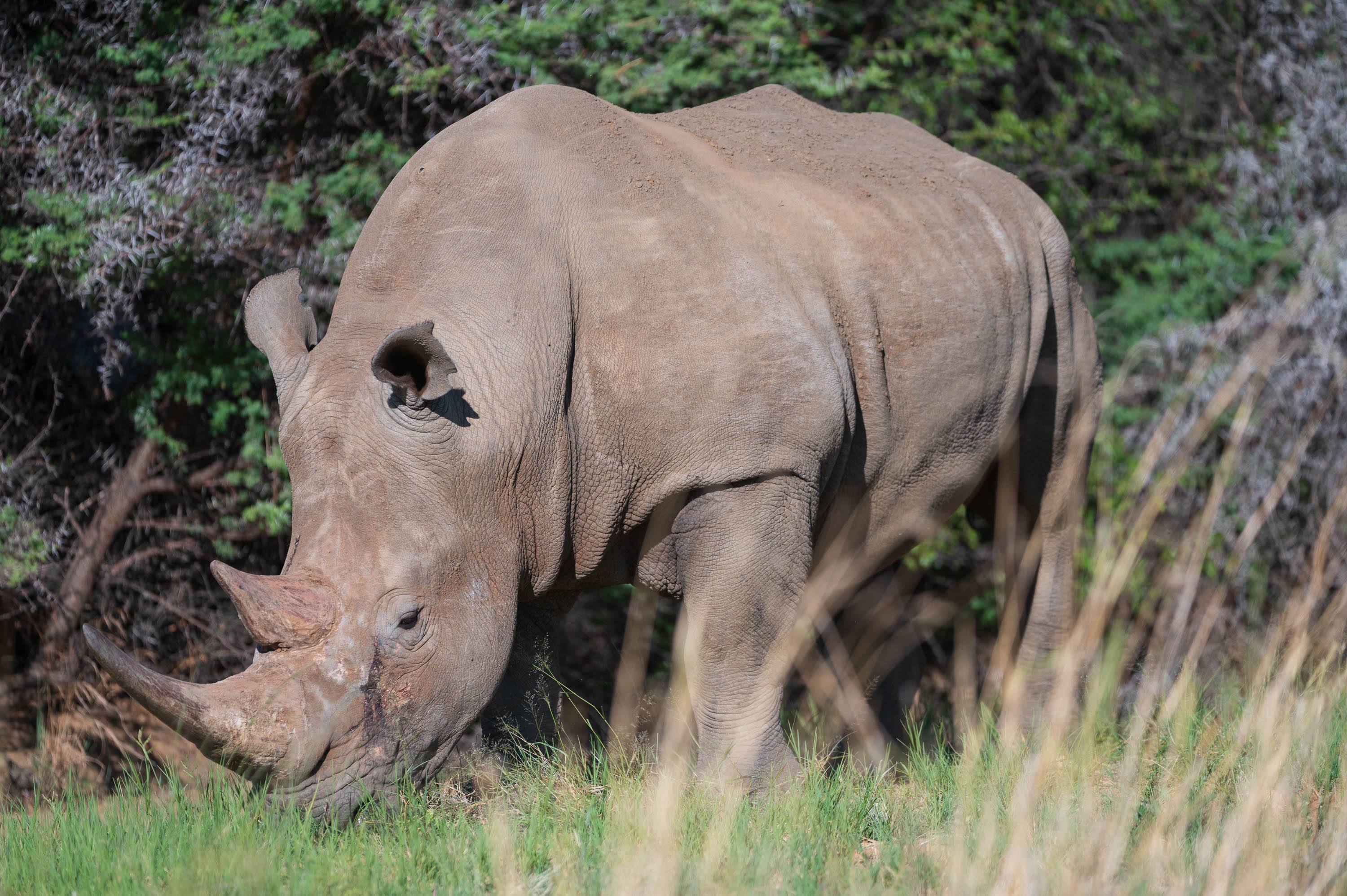 Afrika Reisefotografie 29