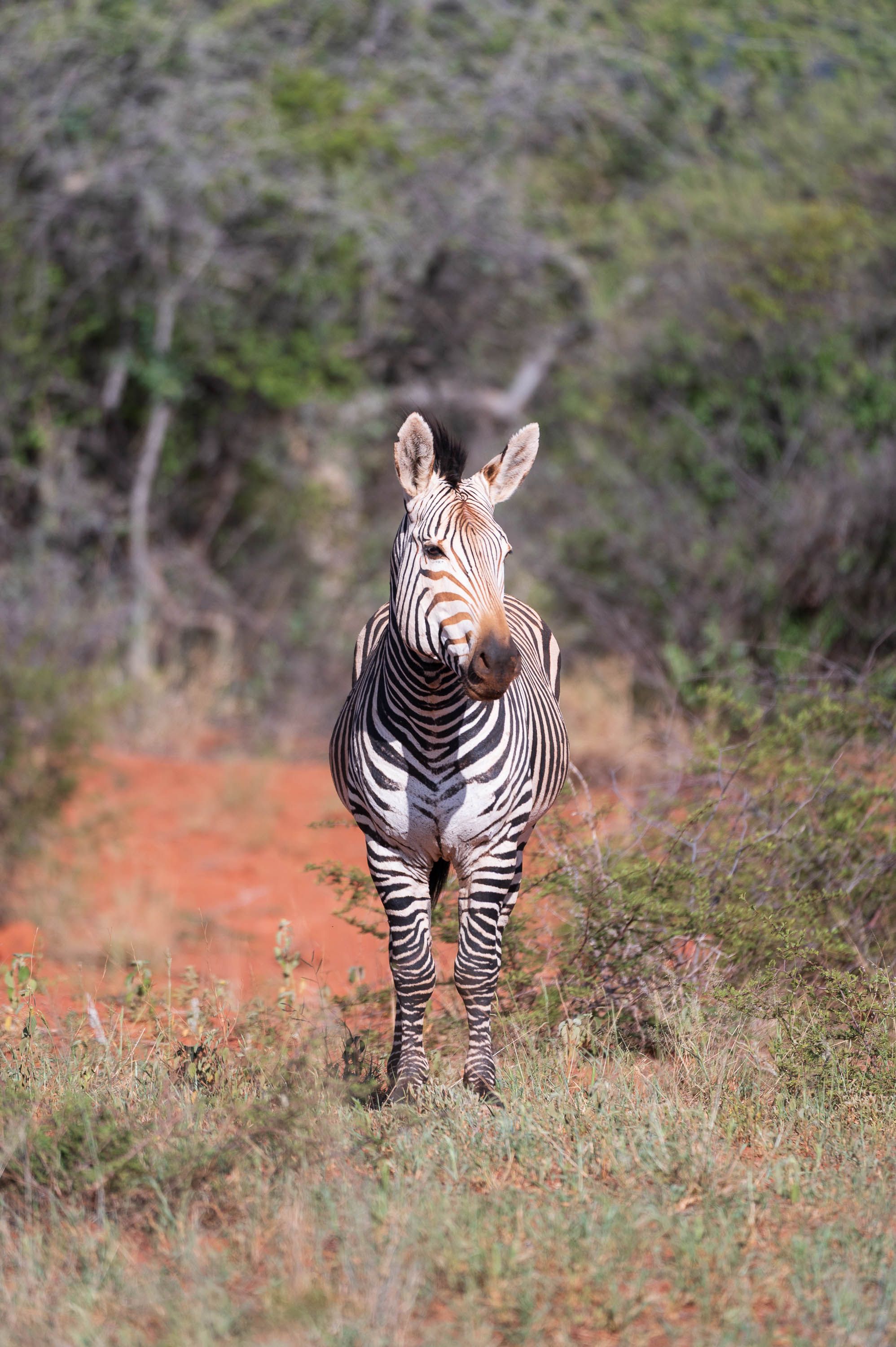 Afrika Reisefotografie 30
