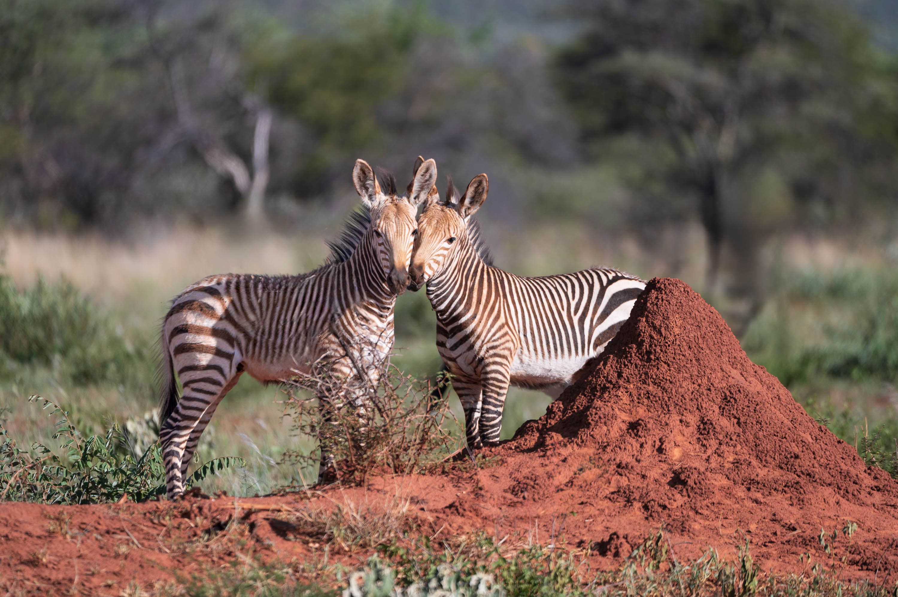 Afrika Reisefotografie 31