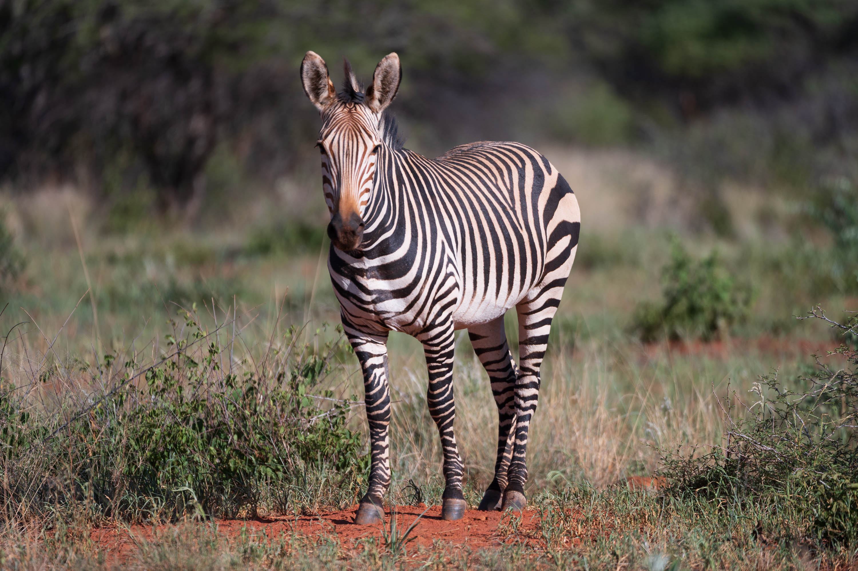 Afrika Reisefotografie 32