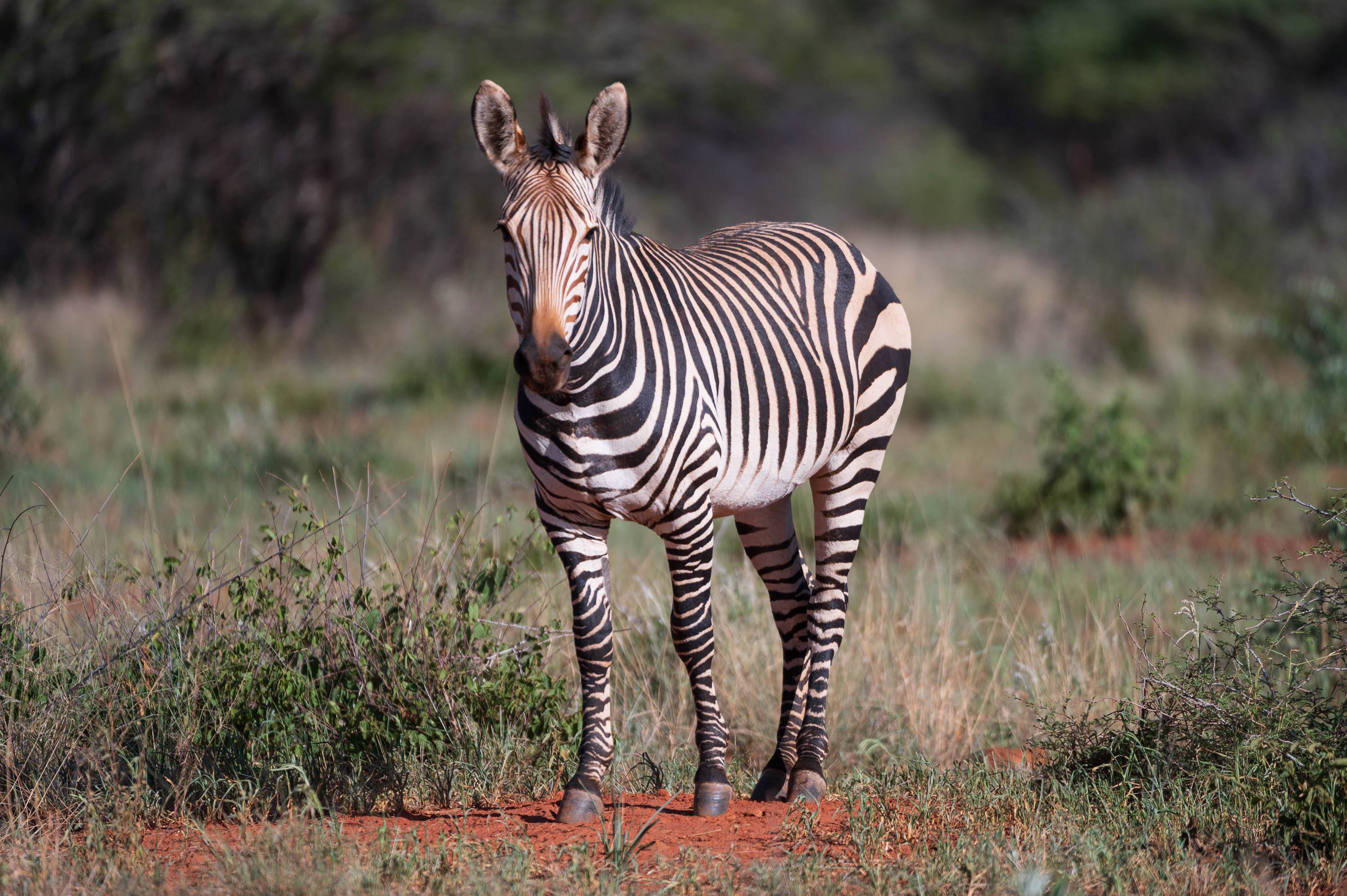 Afrika Reisefotografie 32