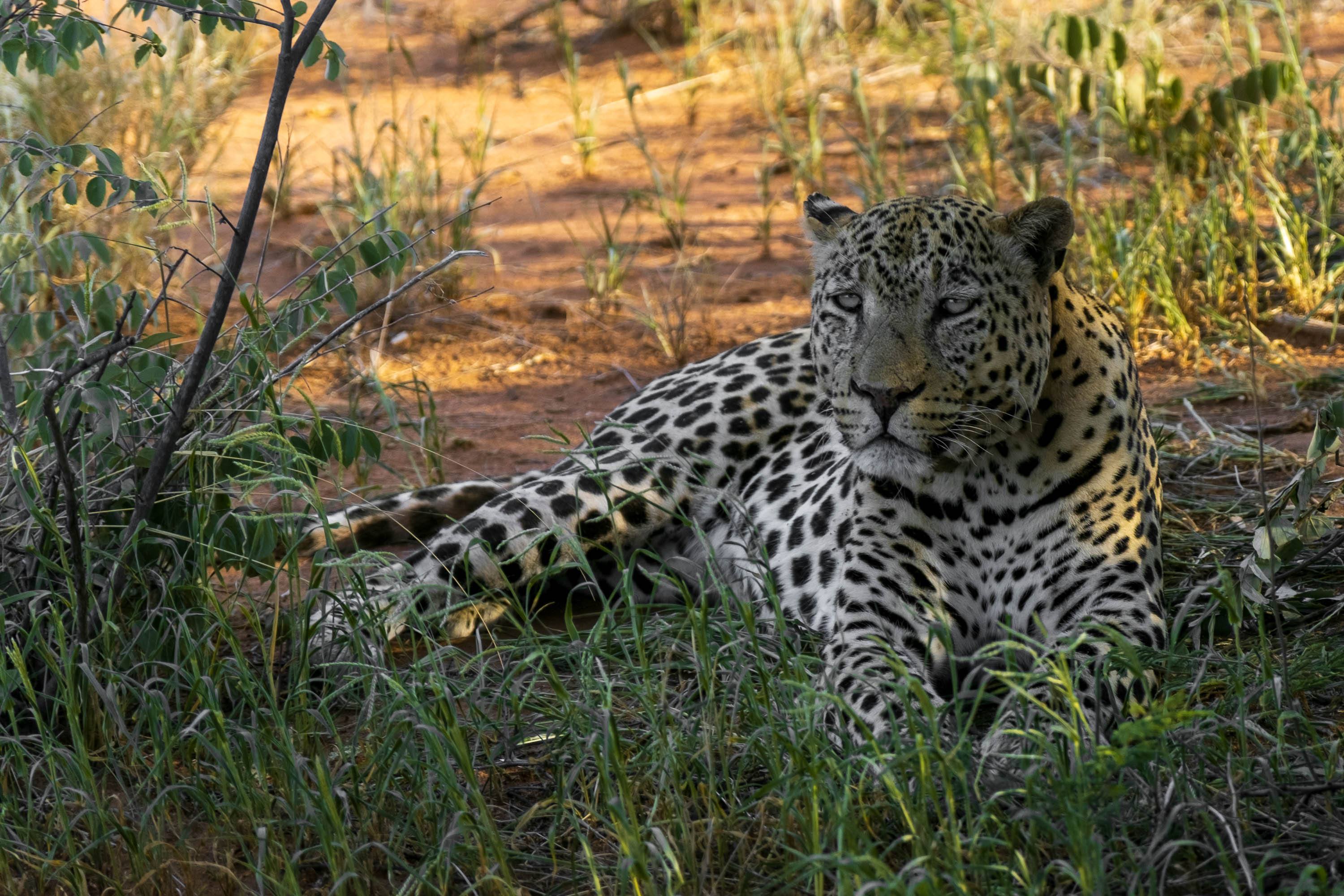 Afrika Reisefotografie 33