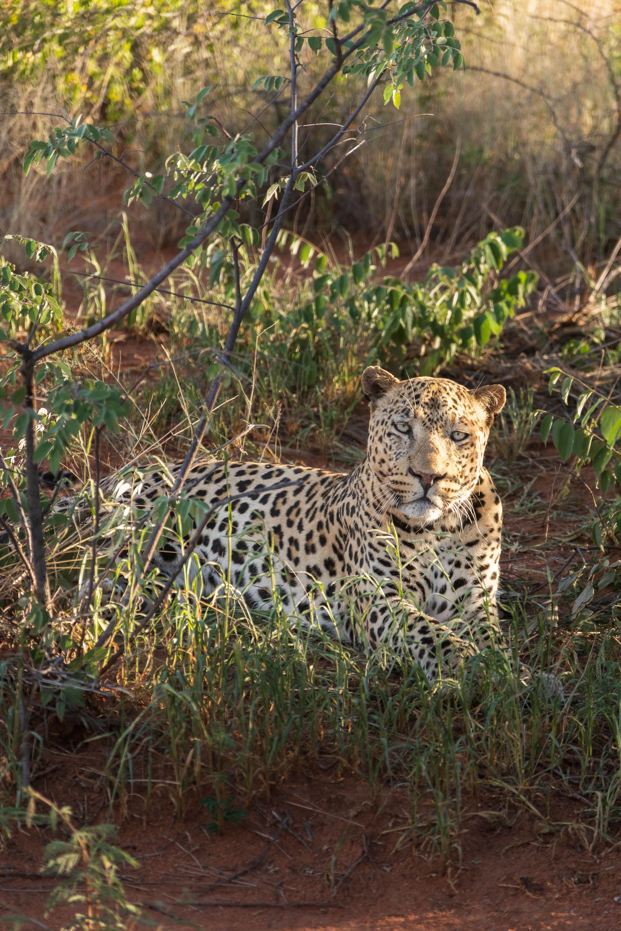 Afrika Reisefotografie 34