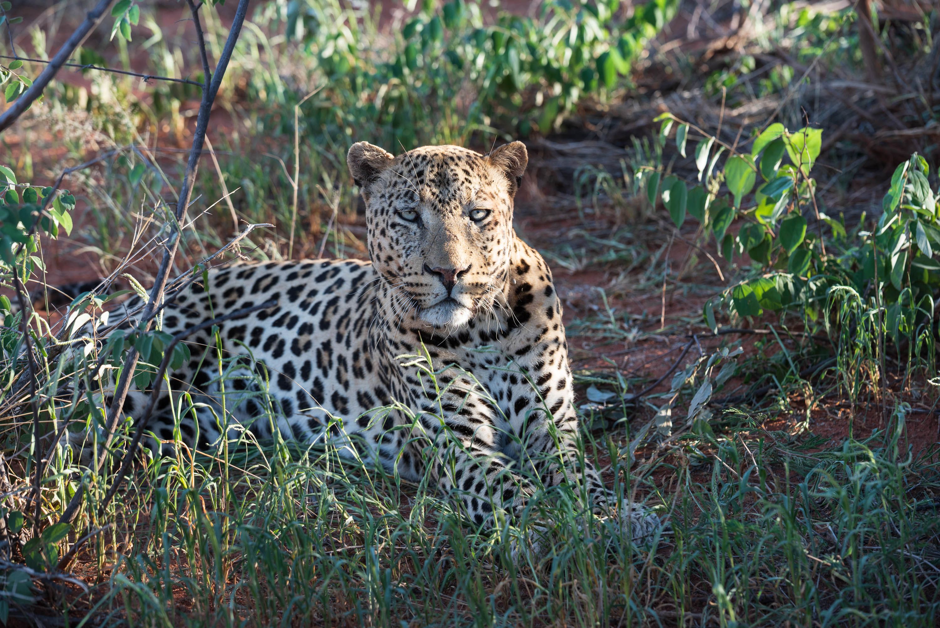 Afrika Reisefotografie 35