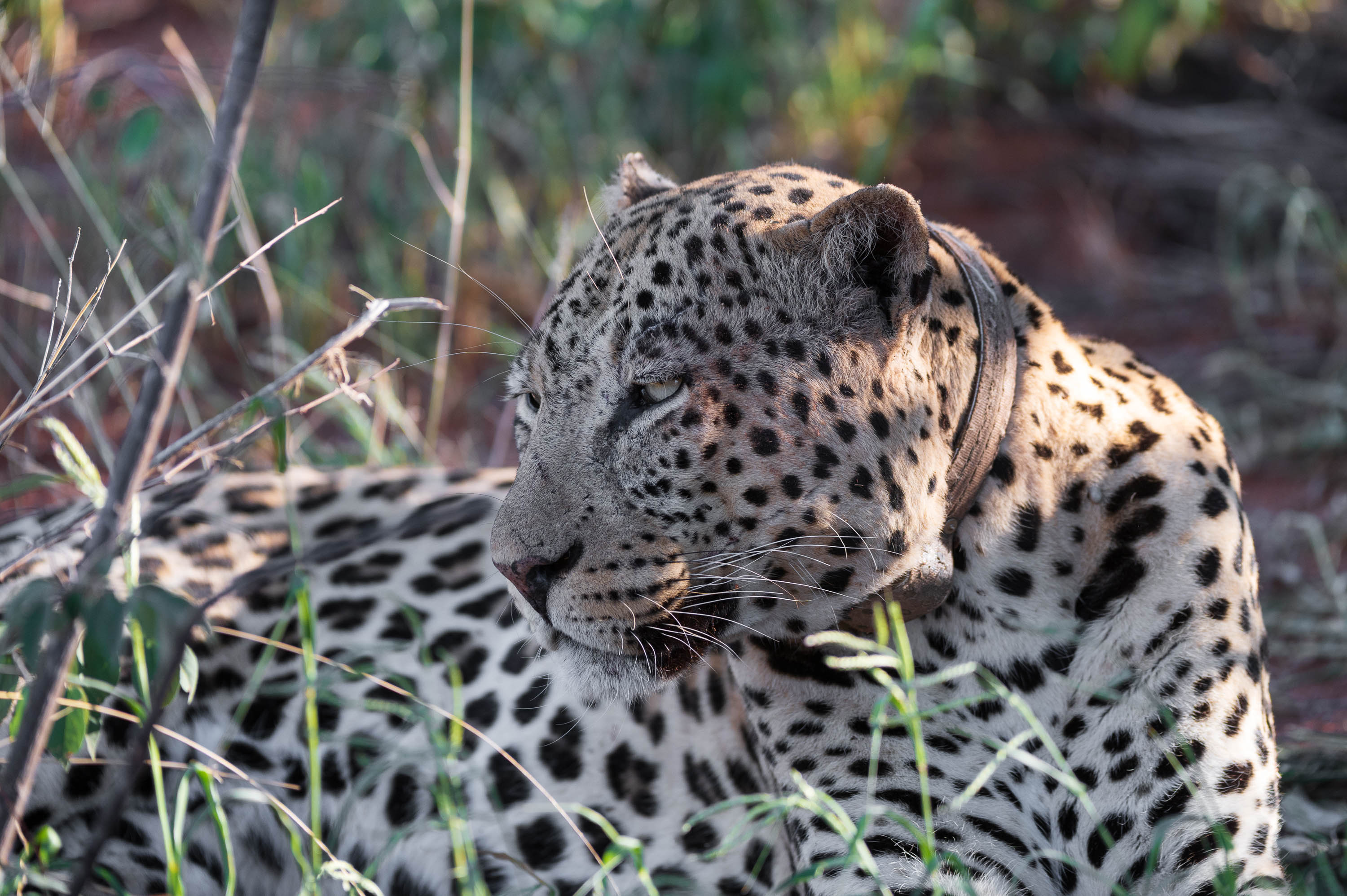 Afrika Reisefotografie 36
