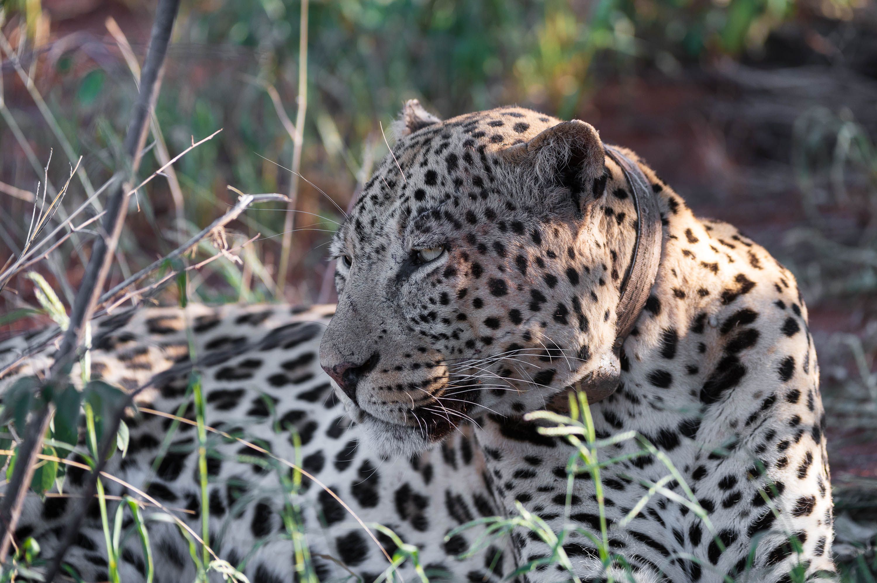 Afrika Reisefotografie 36