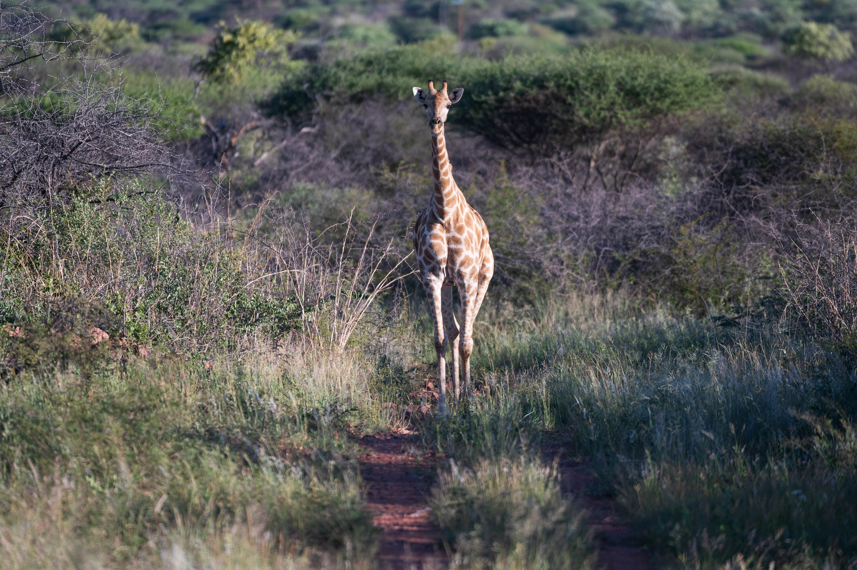 Afrika Reisefotografie 37