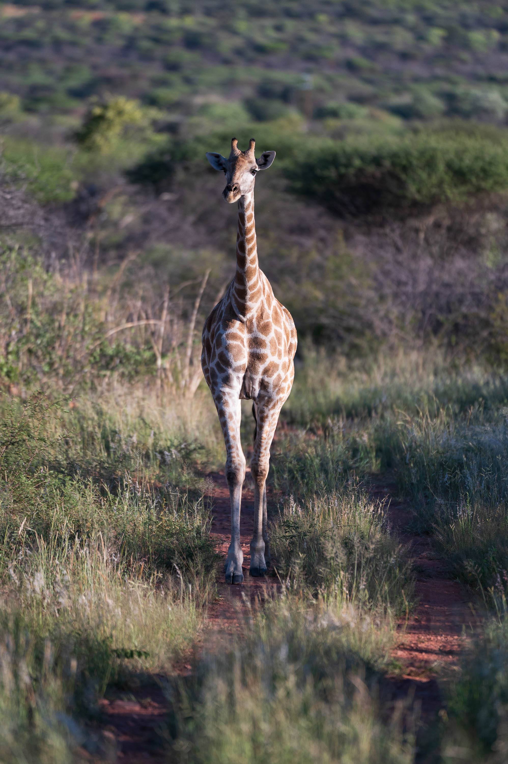 Afrika Reisefotografie 38