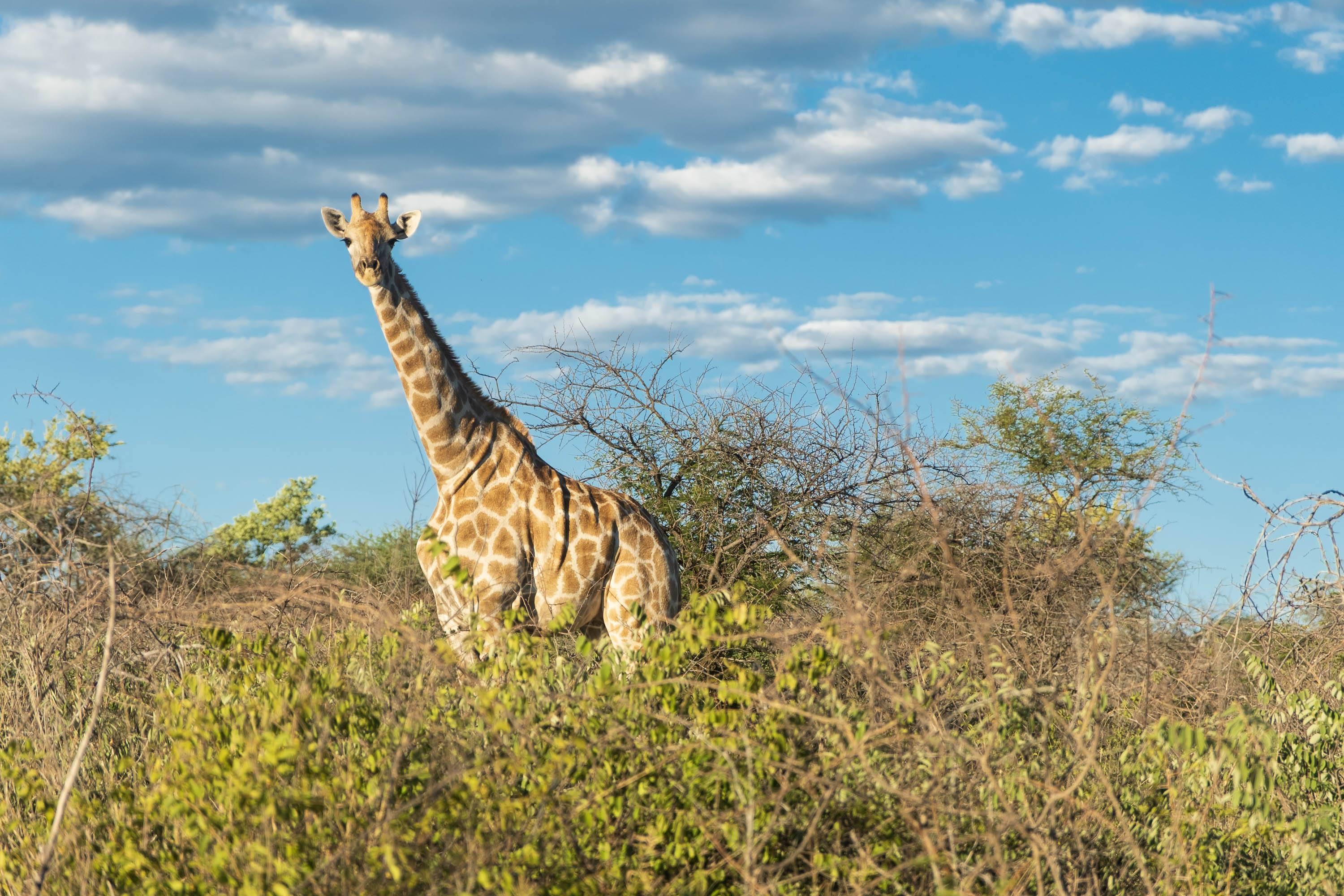Afrika Reisefotografie 39