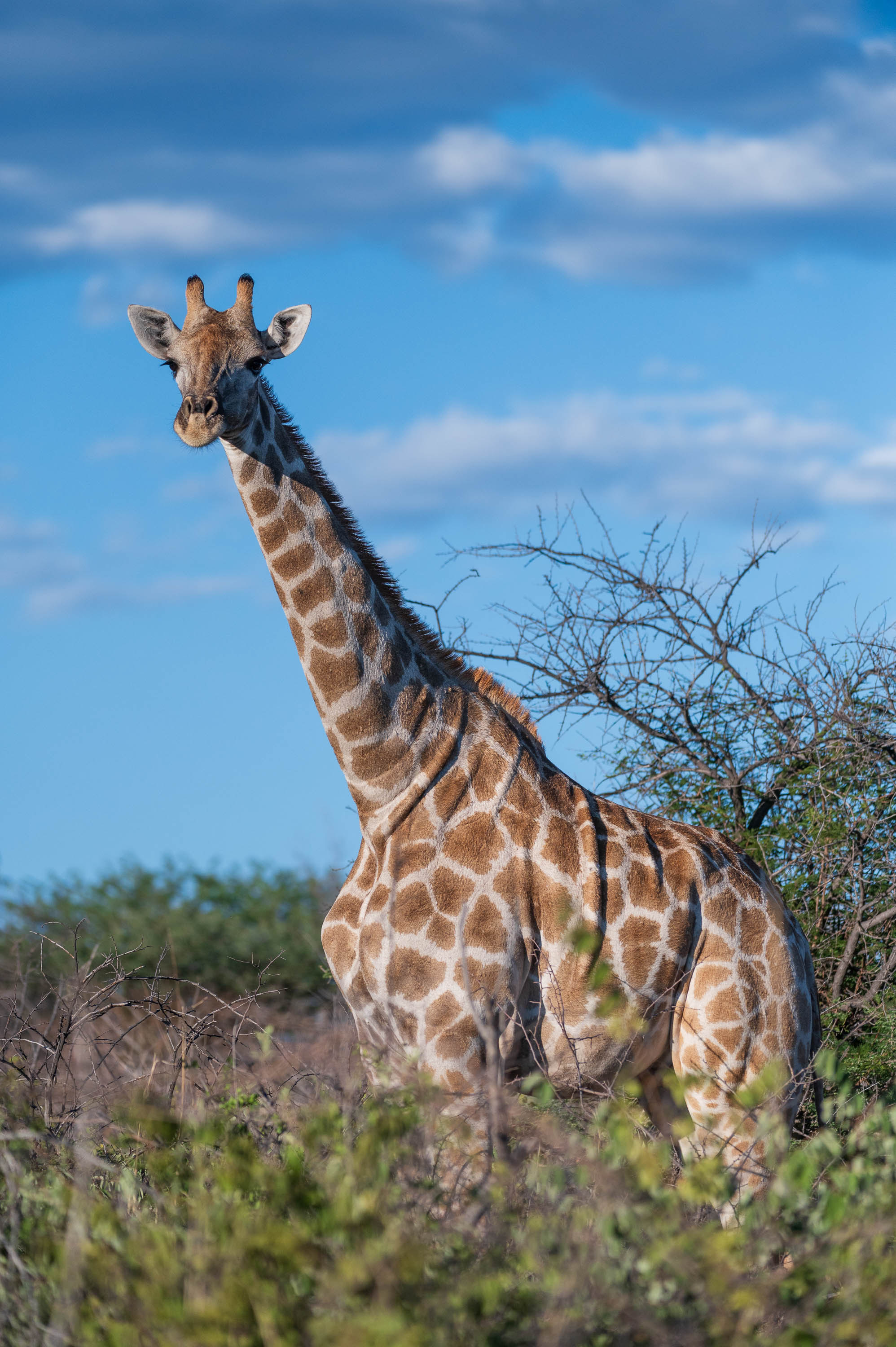 Afrika Reisefotografie 40