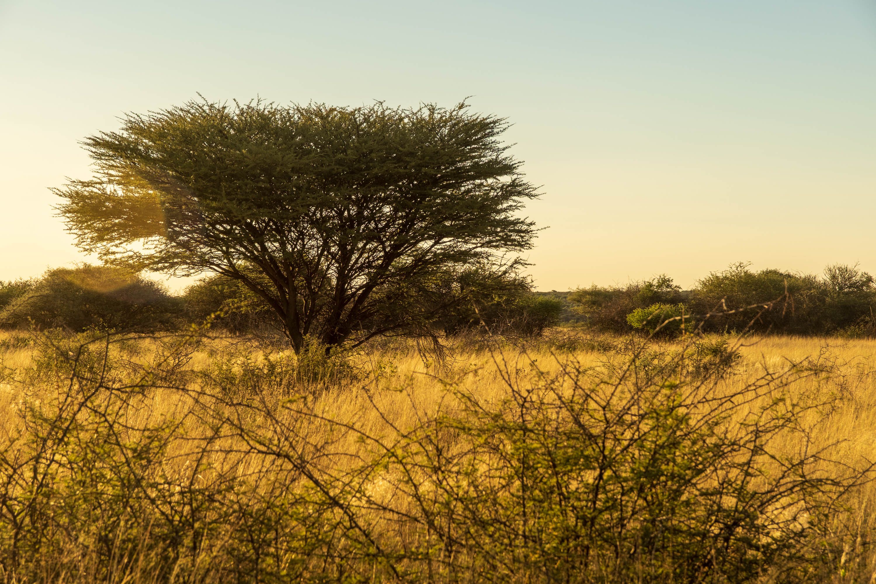 Afrika Reisefotografie 41