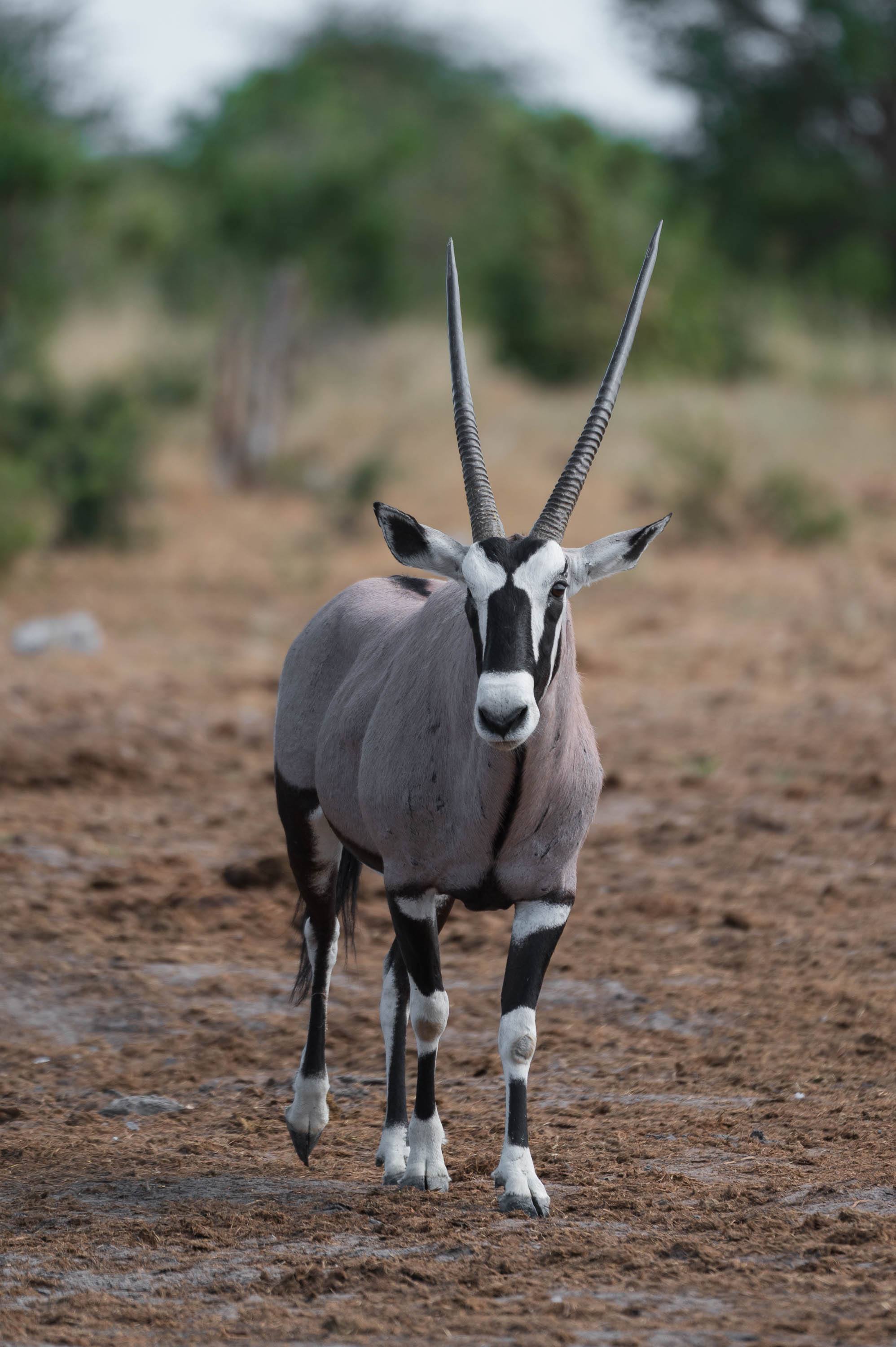 Afrika Reisefotografie 53