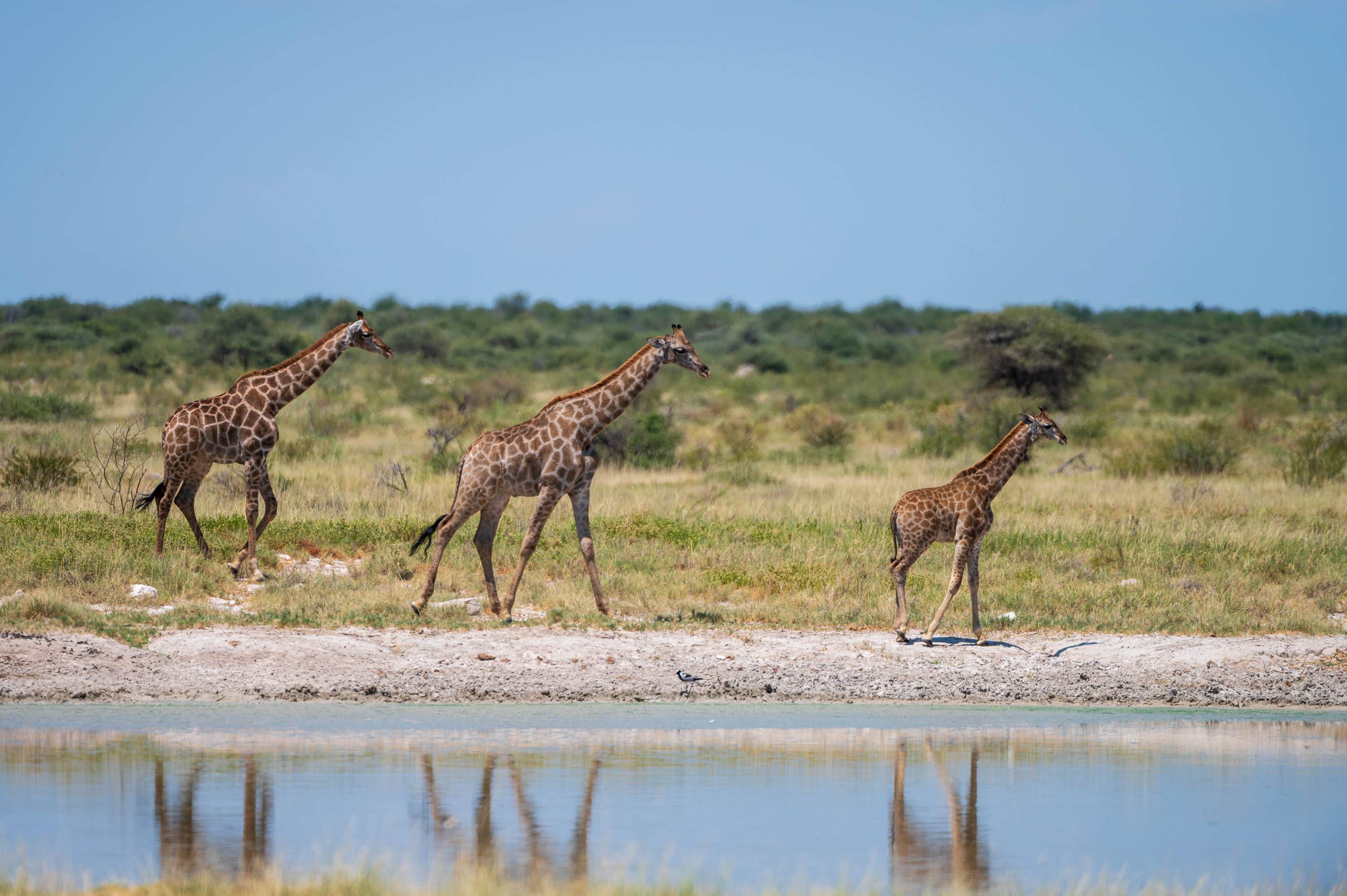 Afrika Reisefotografie 56