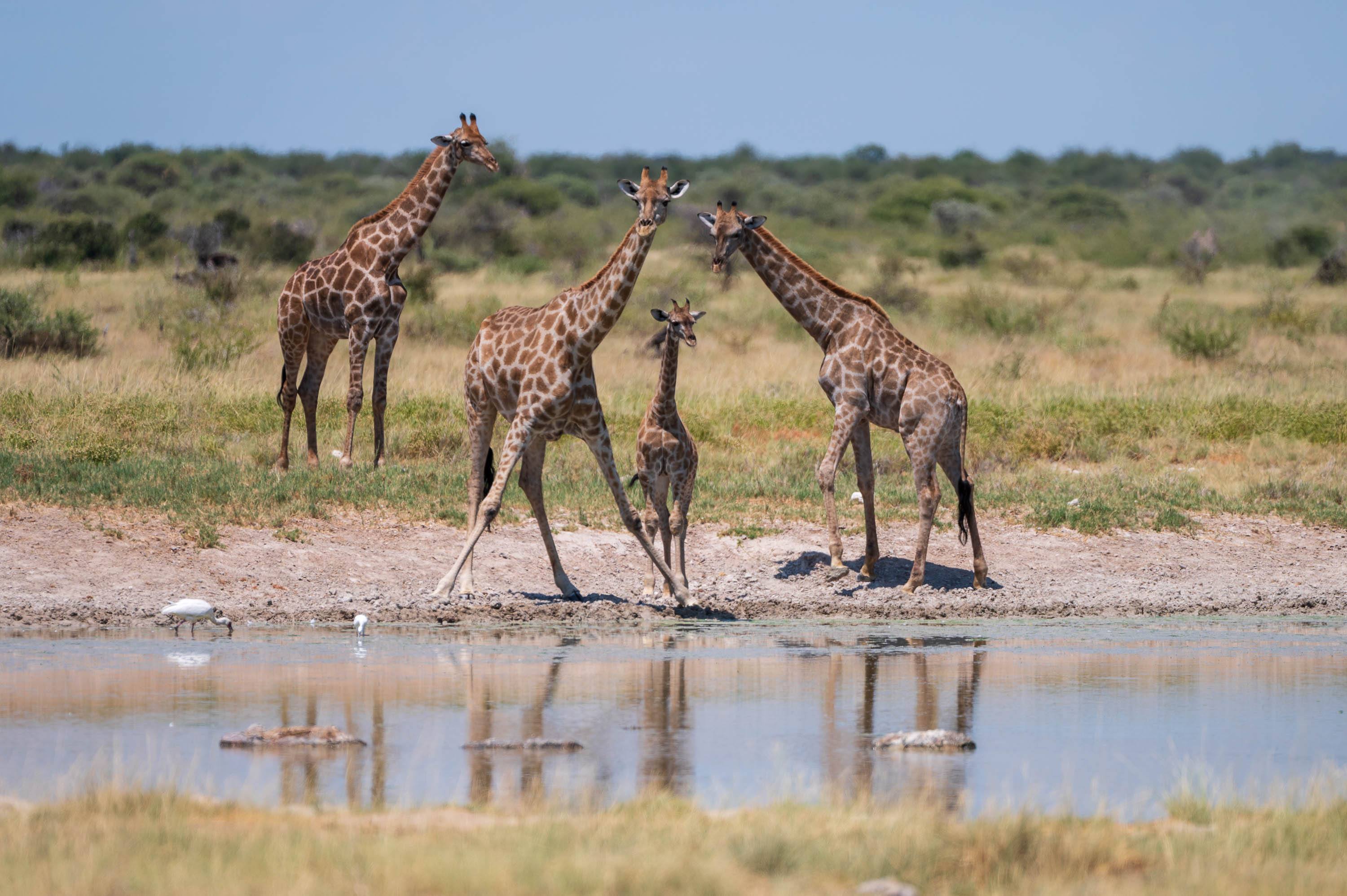Afrika Reisefotografie 57
