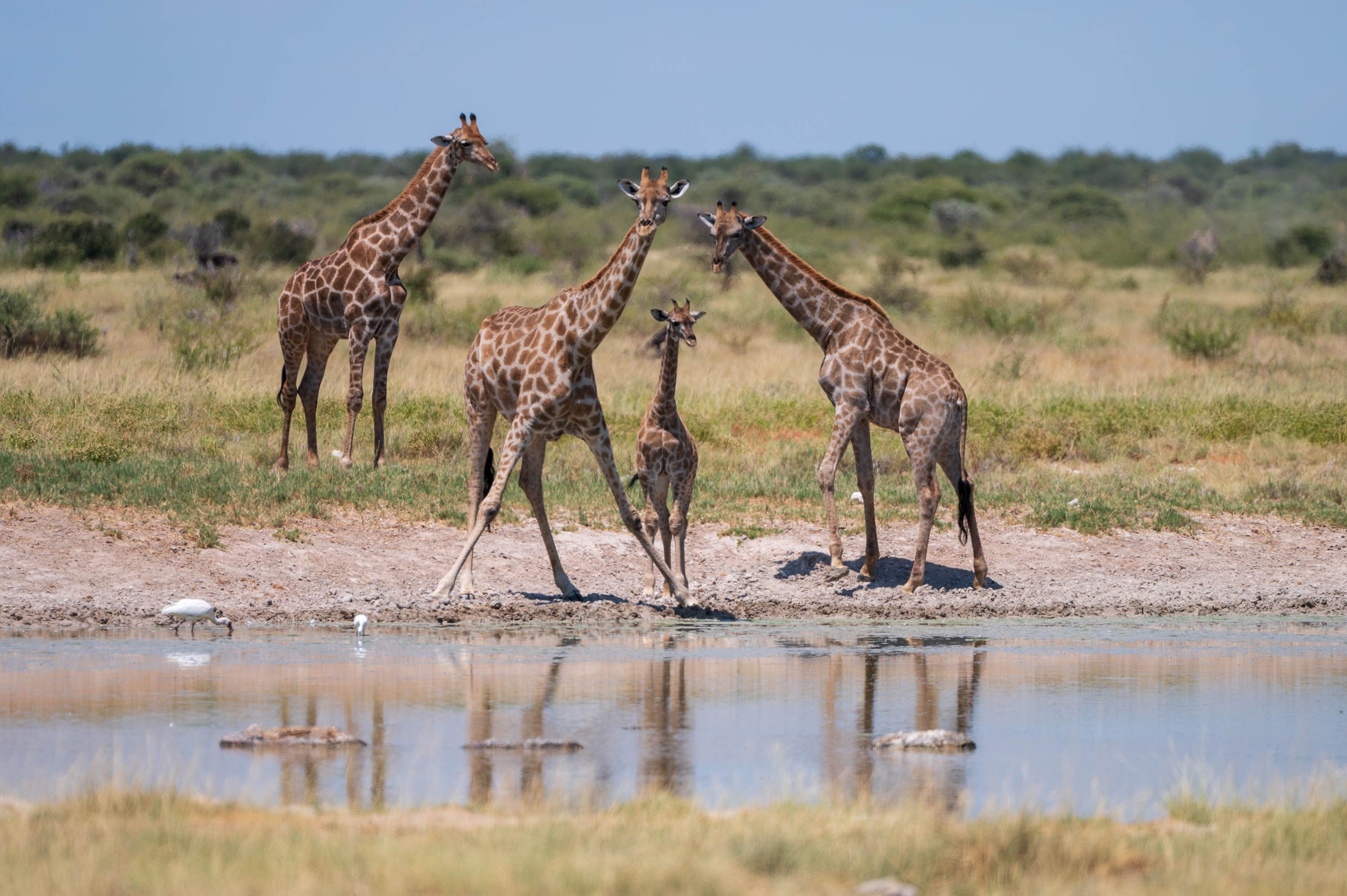 Afrika Reisefotografie 57