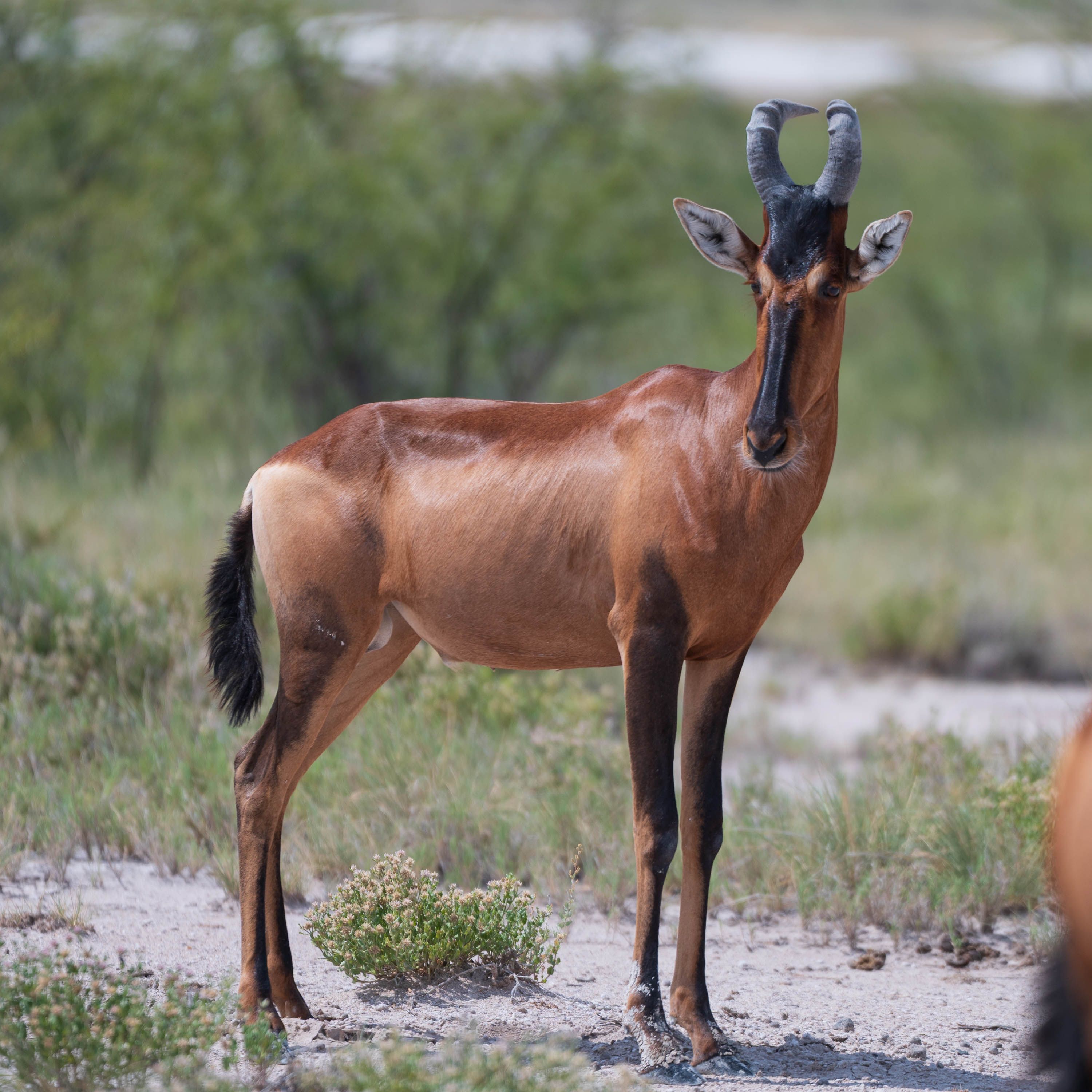 Afrika Reisefotografie 59