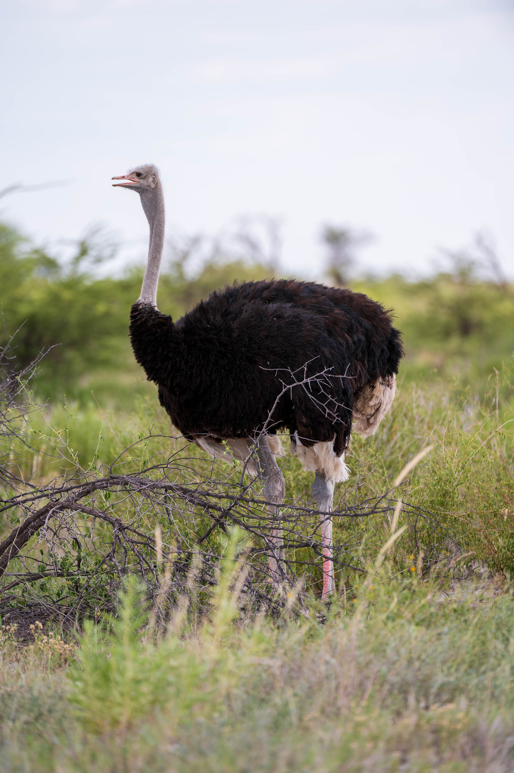Afrika Reisefotografie 60