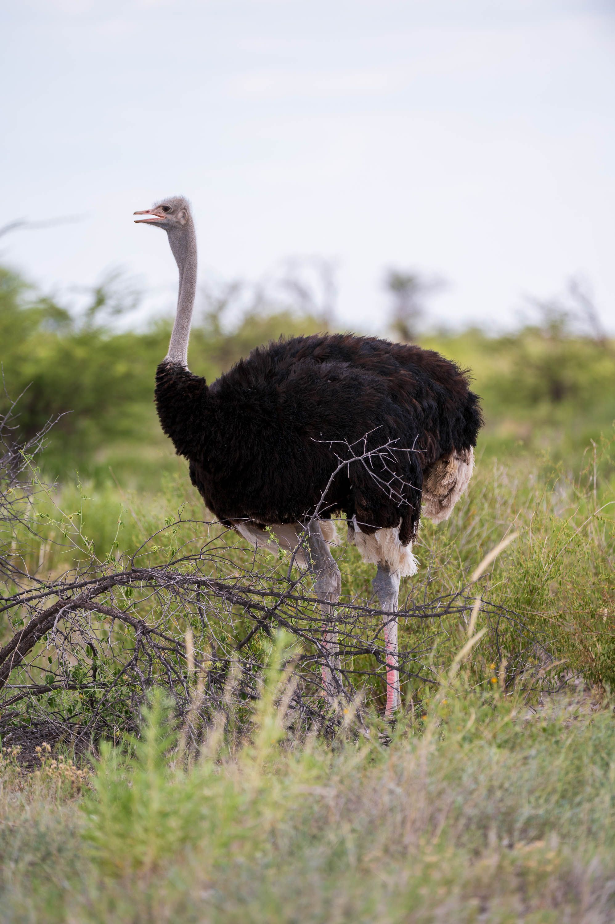 Afrika Reisefotografie 60