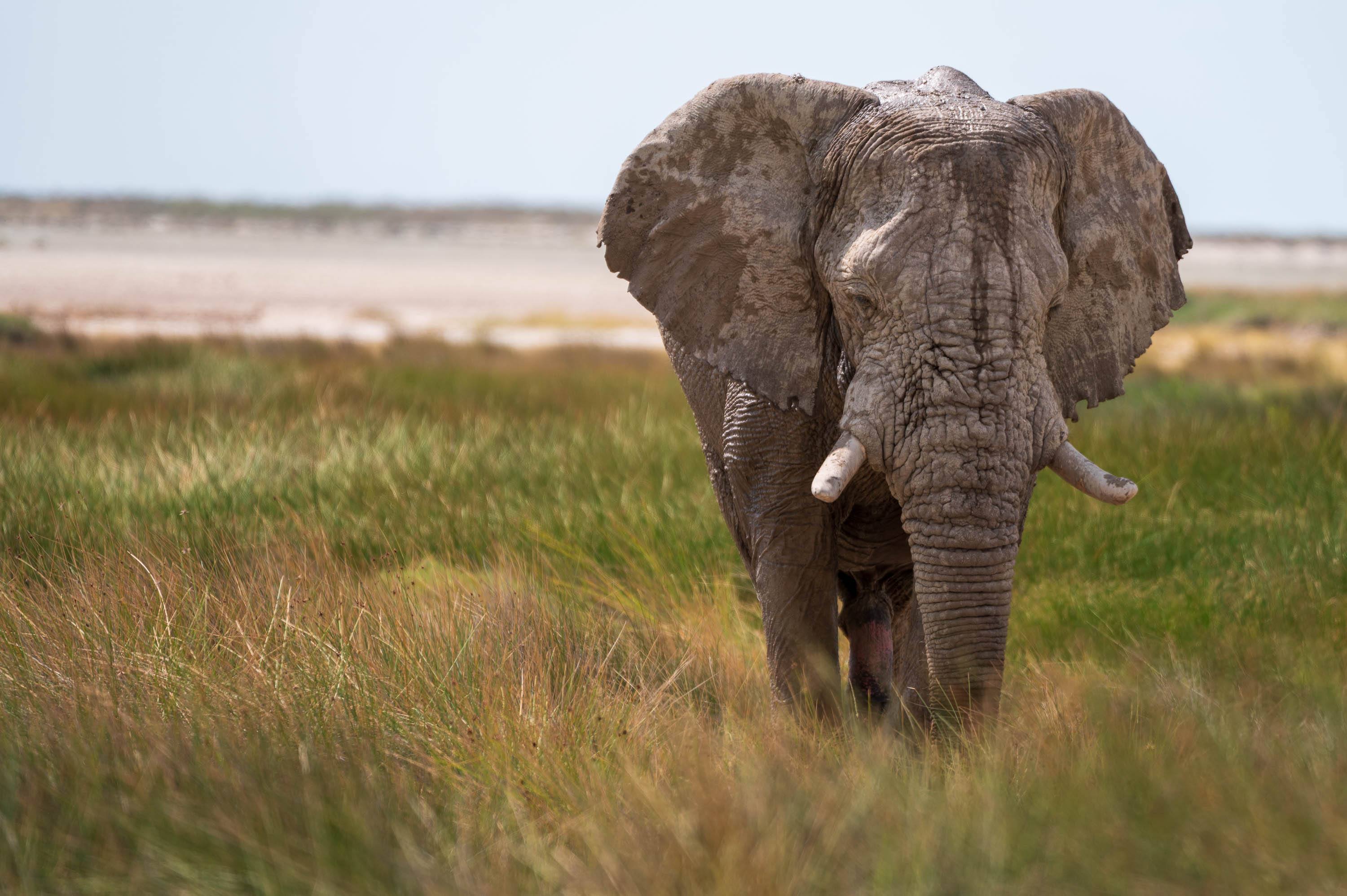 Afrika Reisefotografie 62