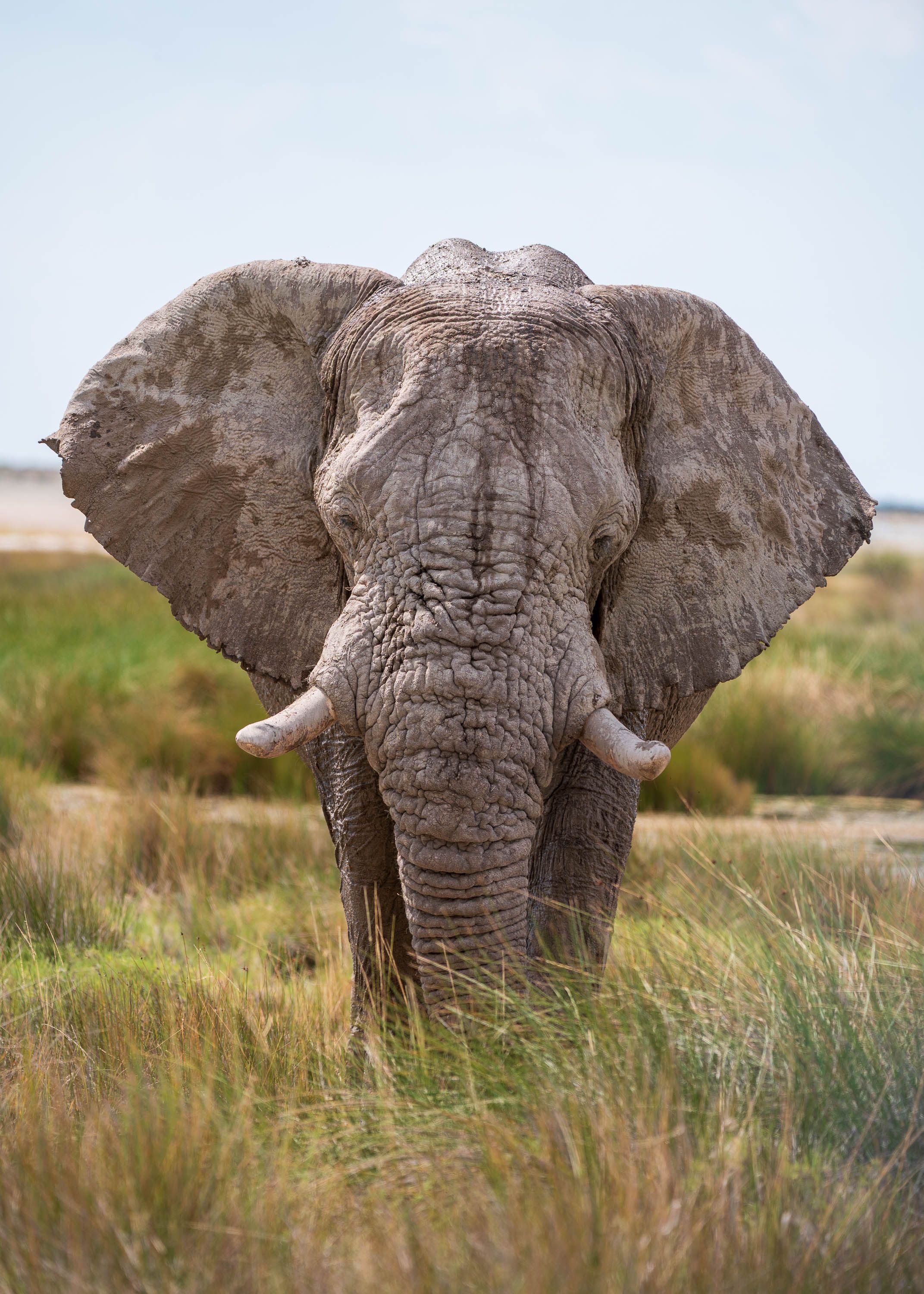 Afrika Reisefotografie 63