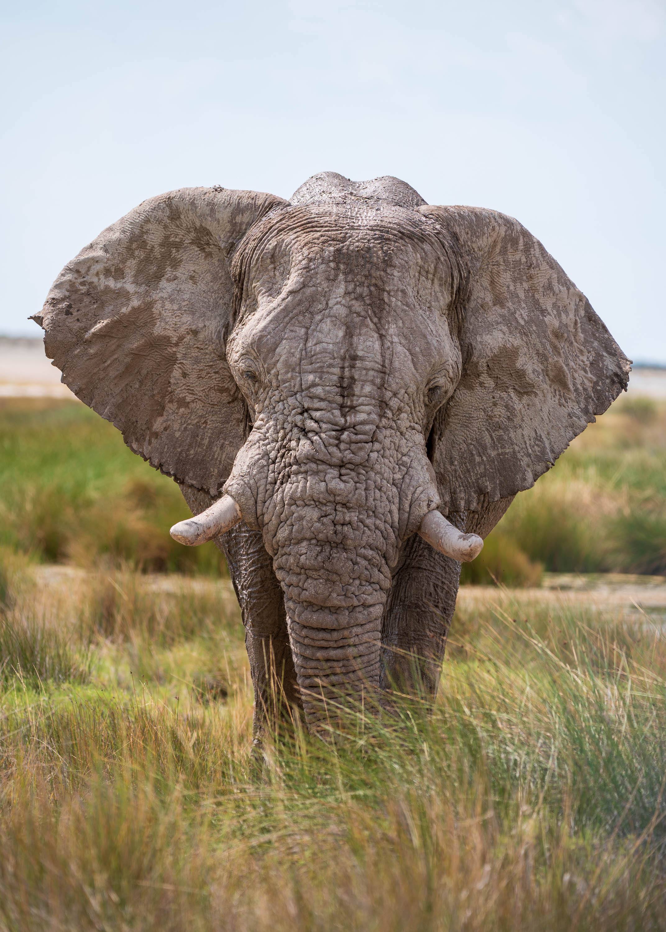 Afrika Reisefotografie 63