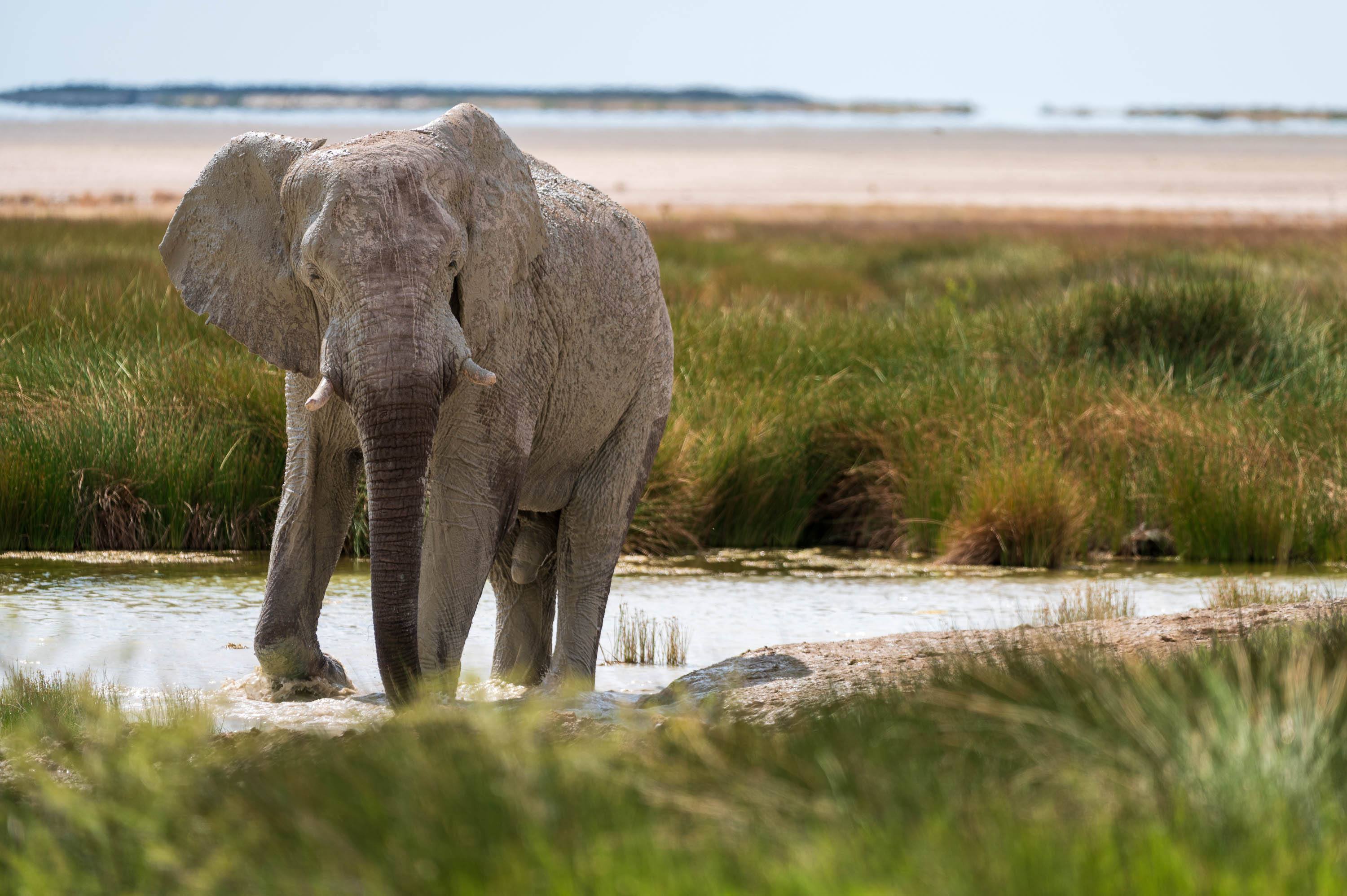 Afrika Reisefotografie 64