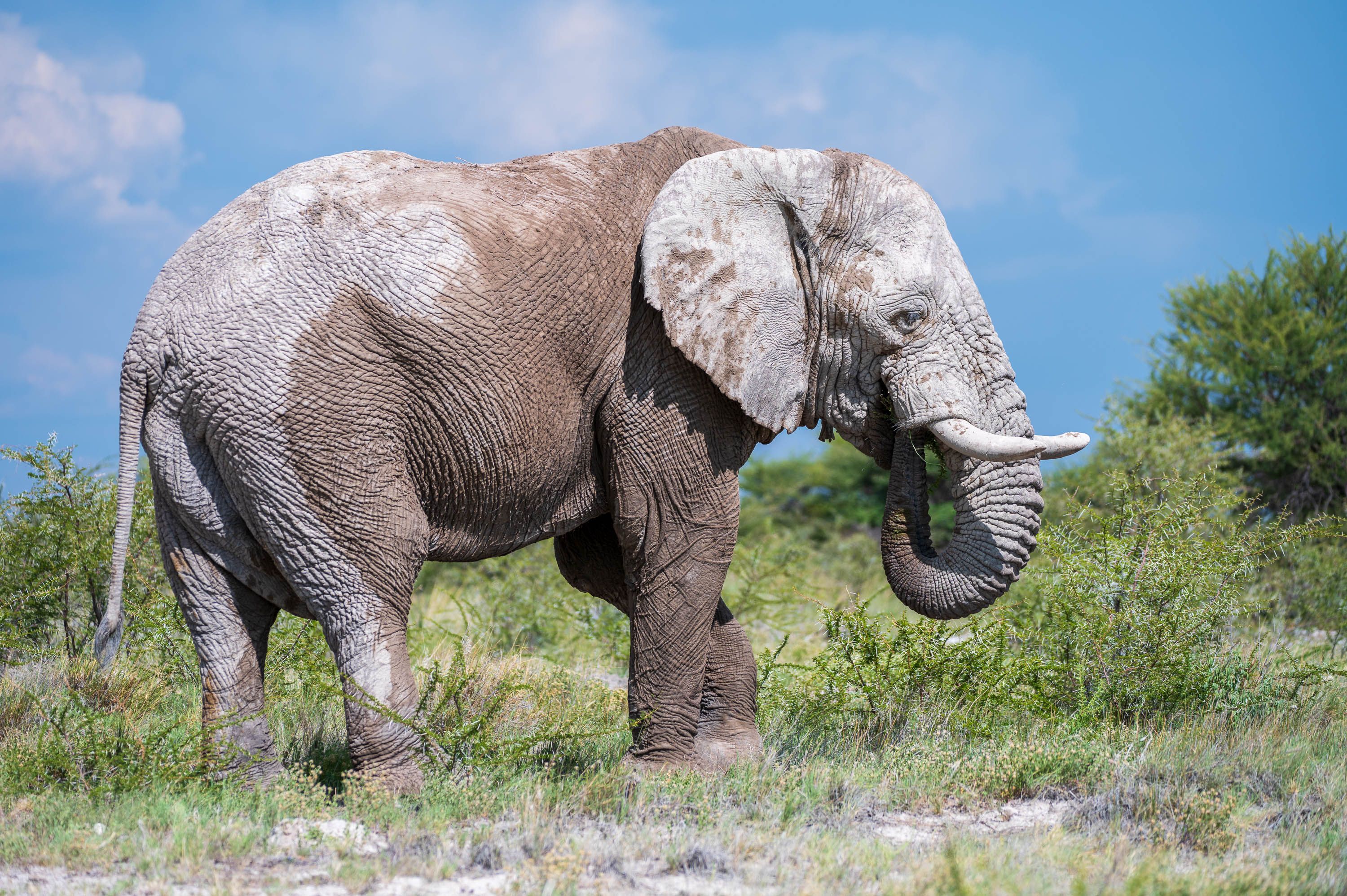 Afrika Reisefotografie 65
