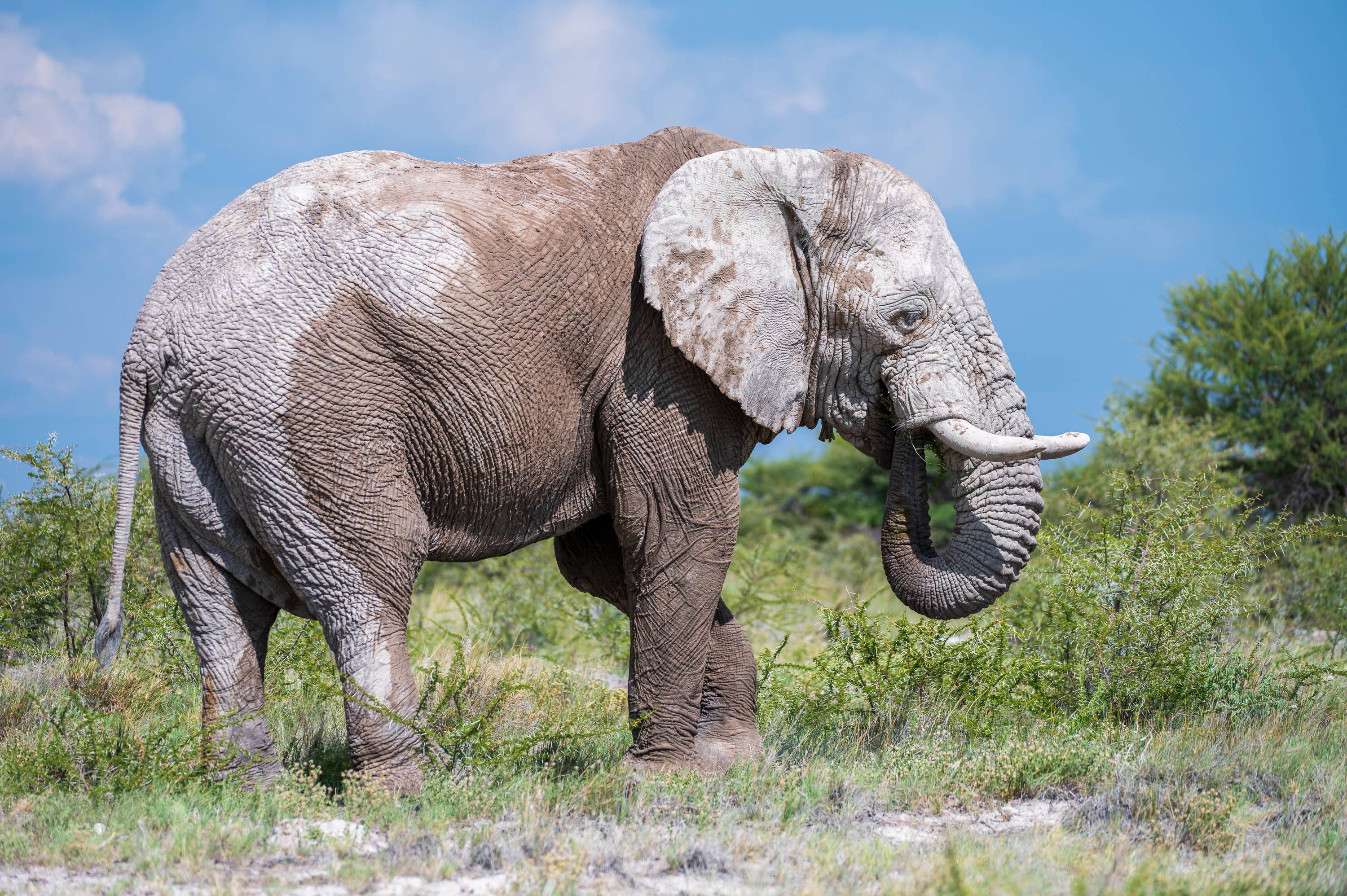 Afrika Reisefotografie 65