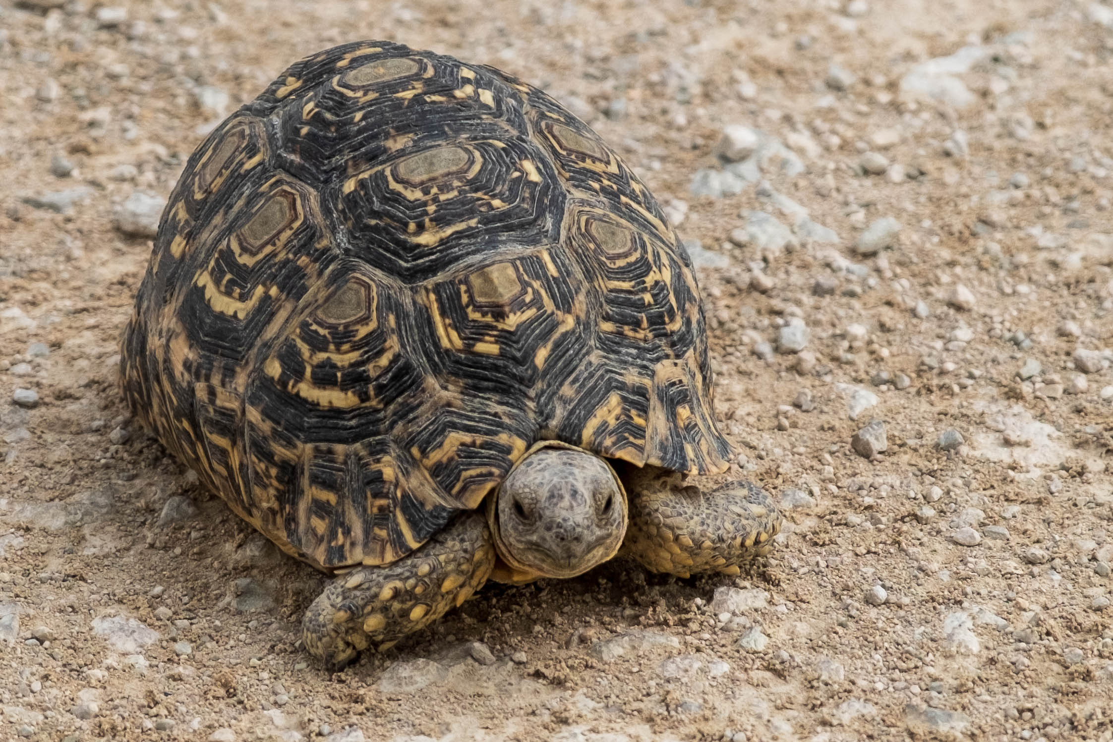 Afrika Reisefotografie 66