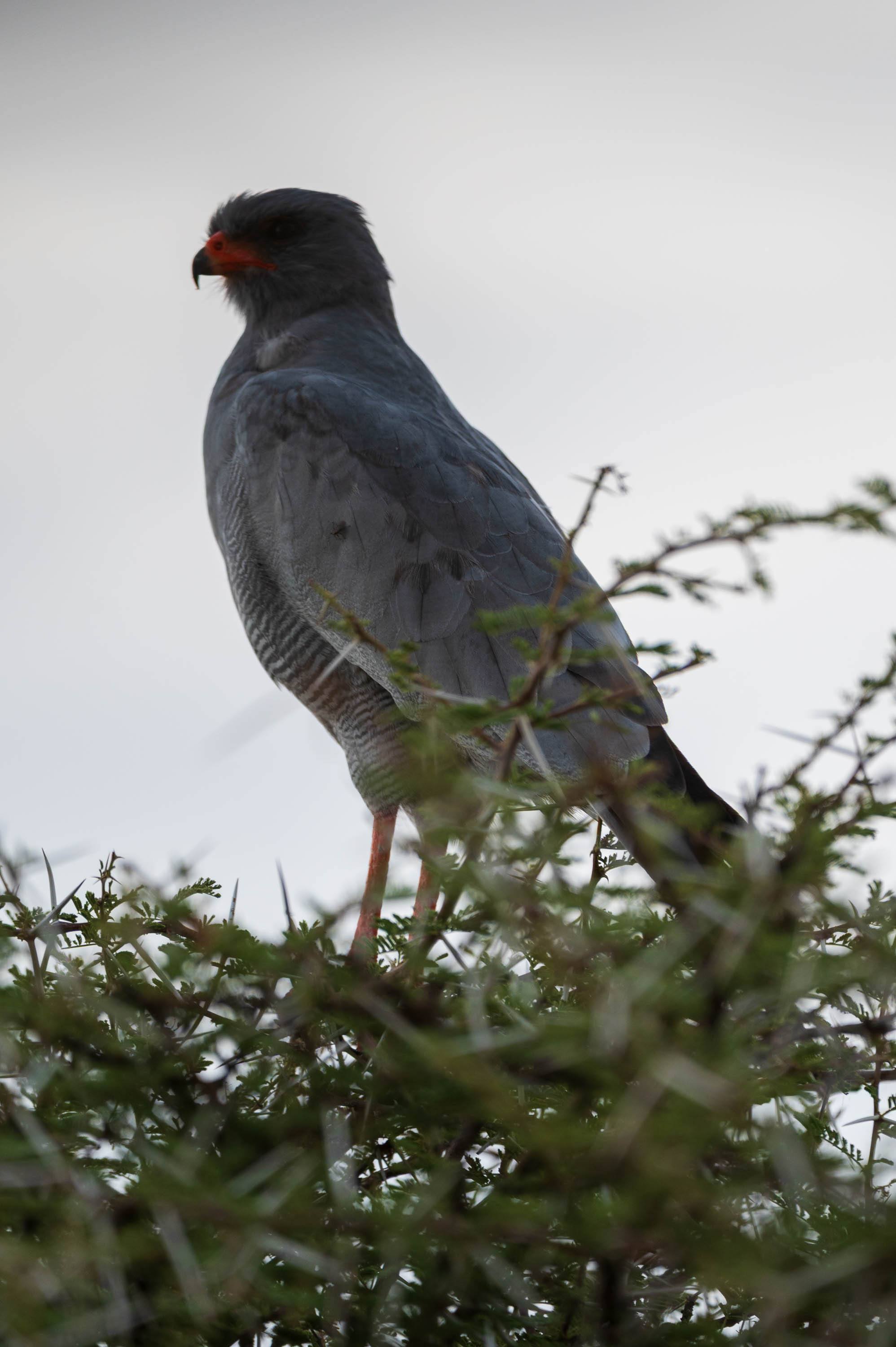 Afrika Reisefotografie 67