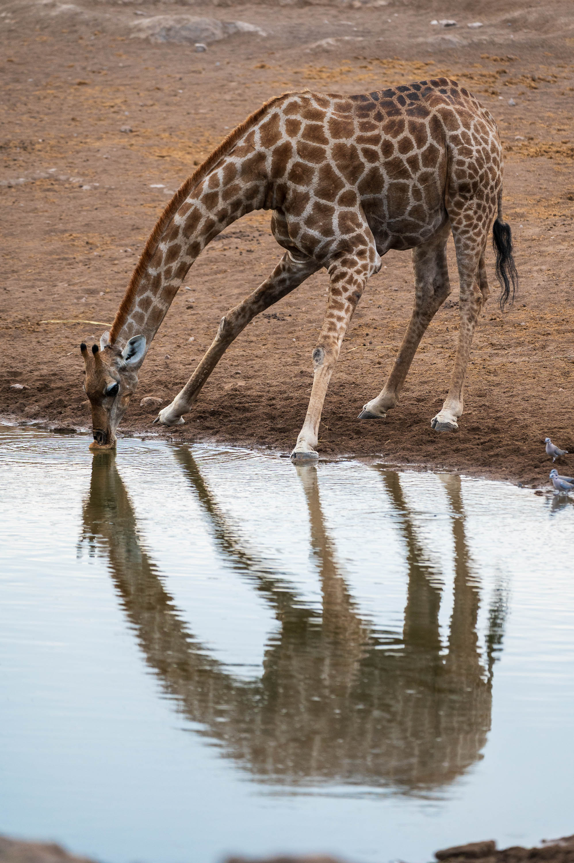 Afrika Reisefotografie 68