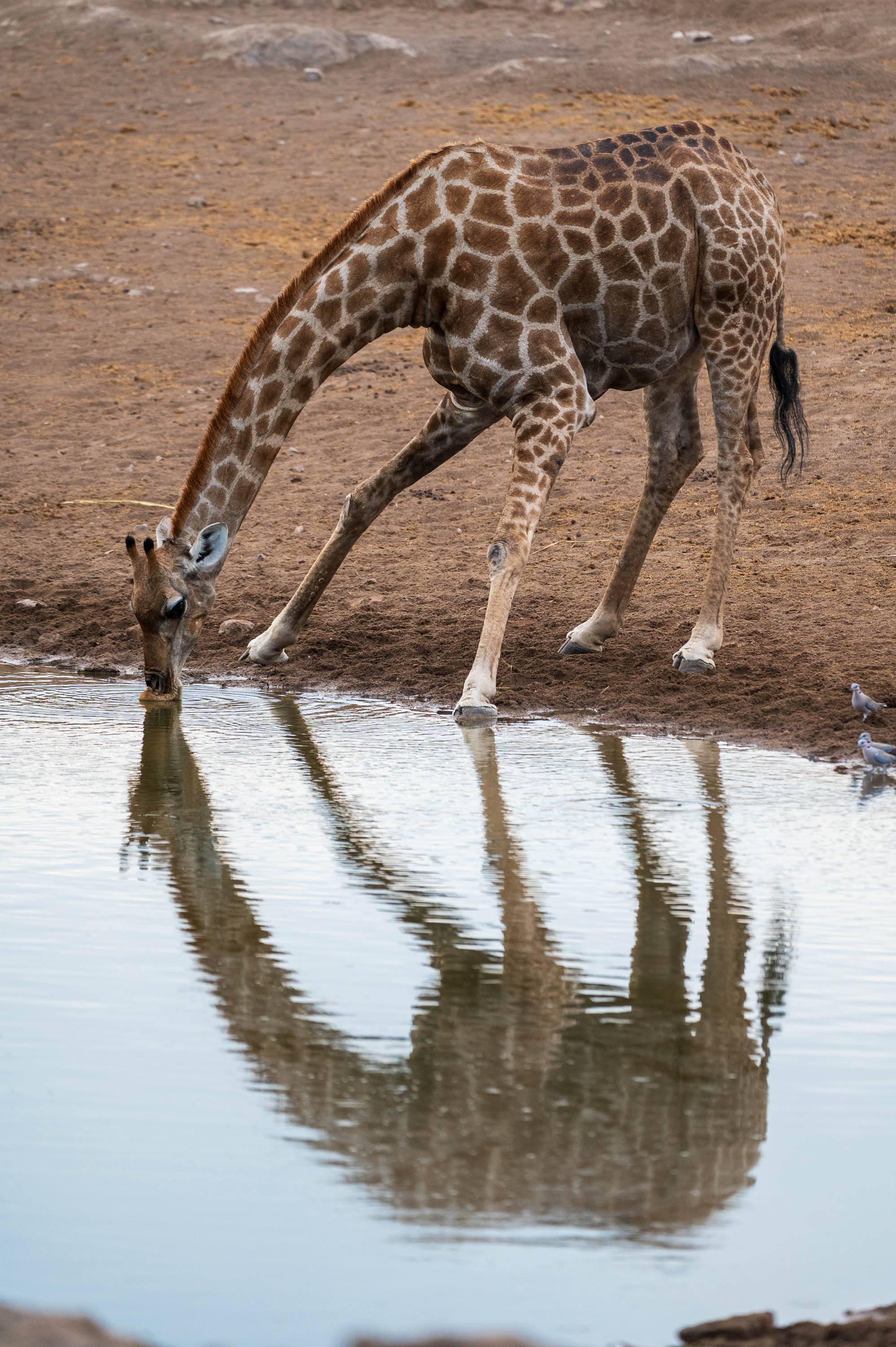 Afrika Reisefotografie 68