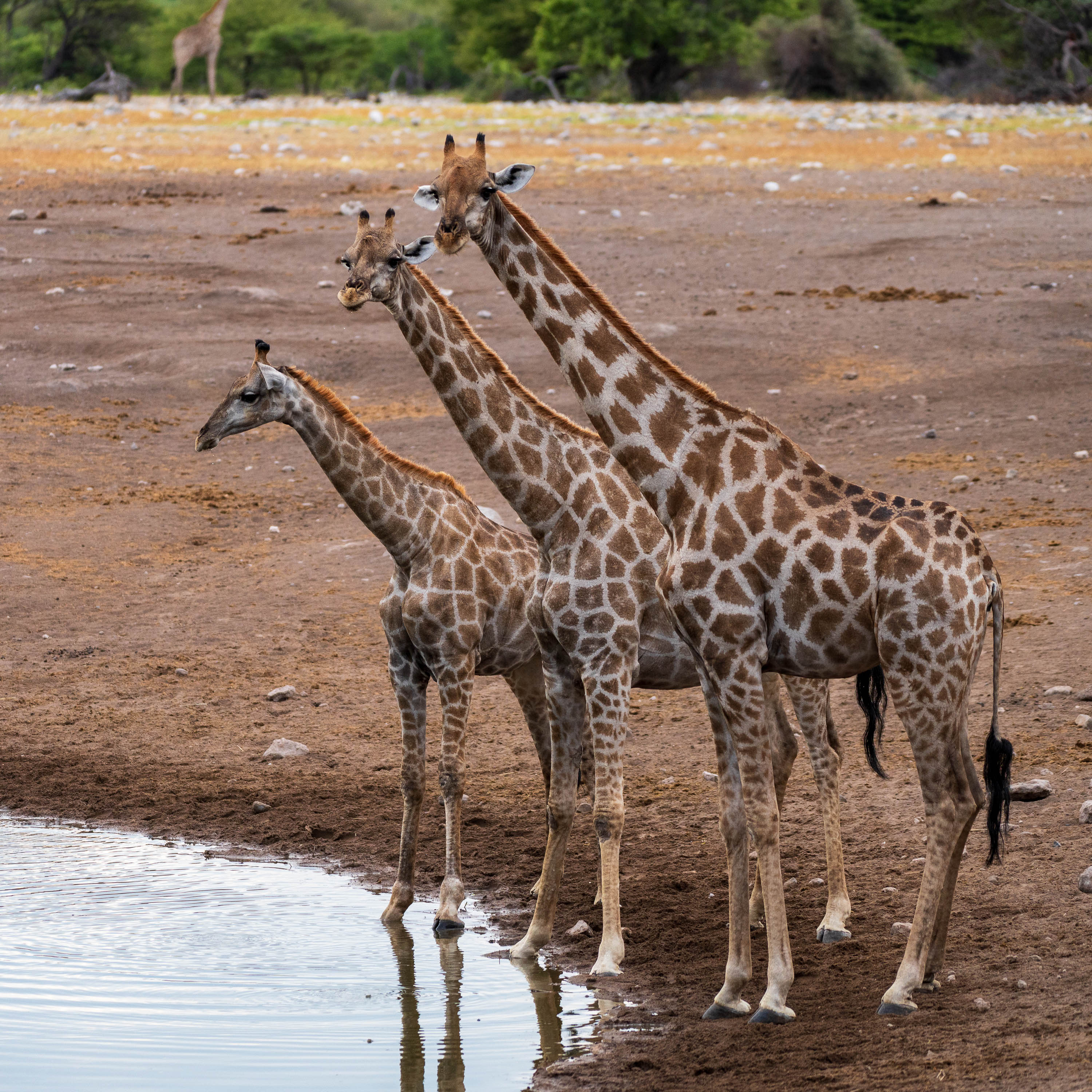 Afrika Reisefotografie 69