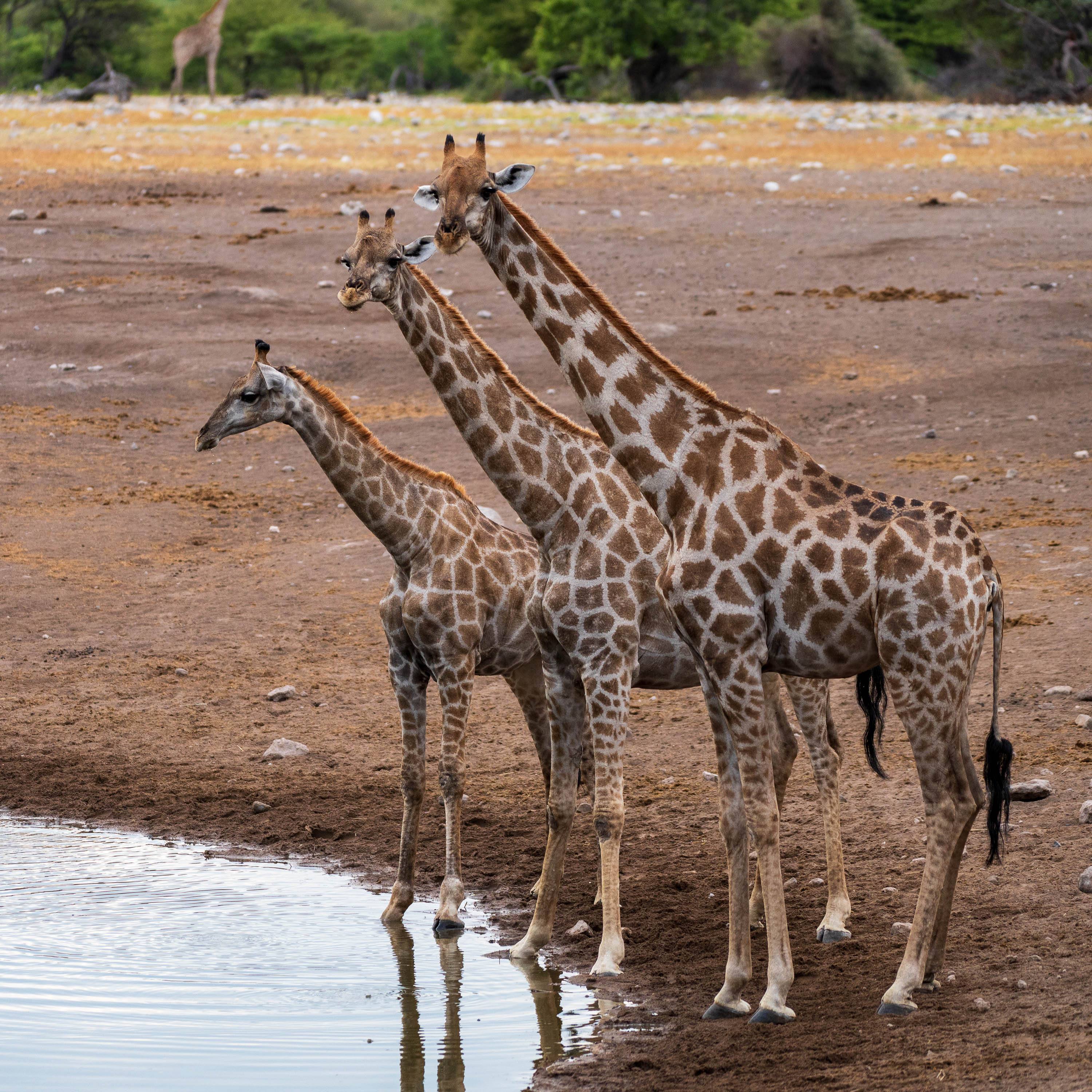 Afrika Reisefotografie 69