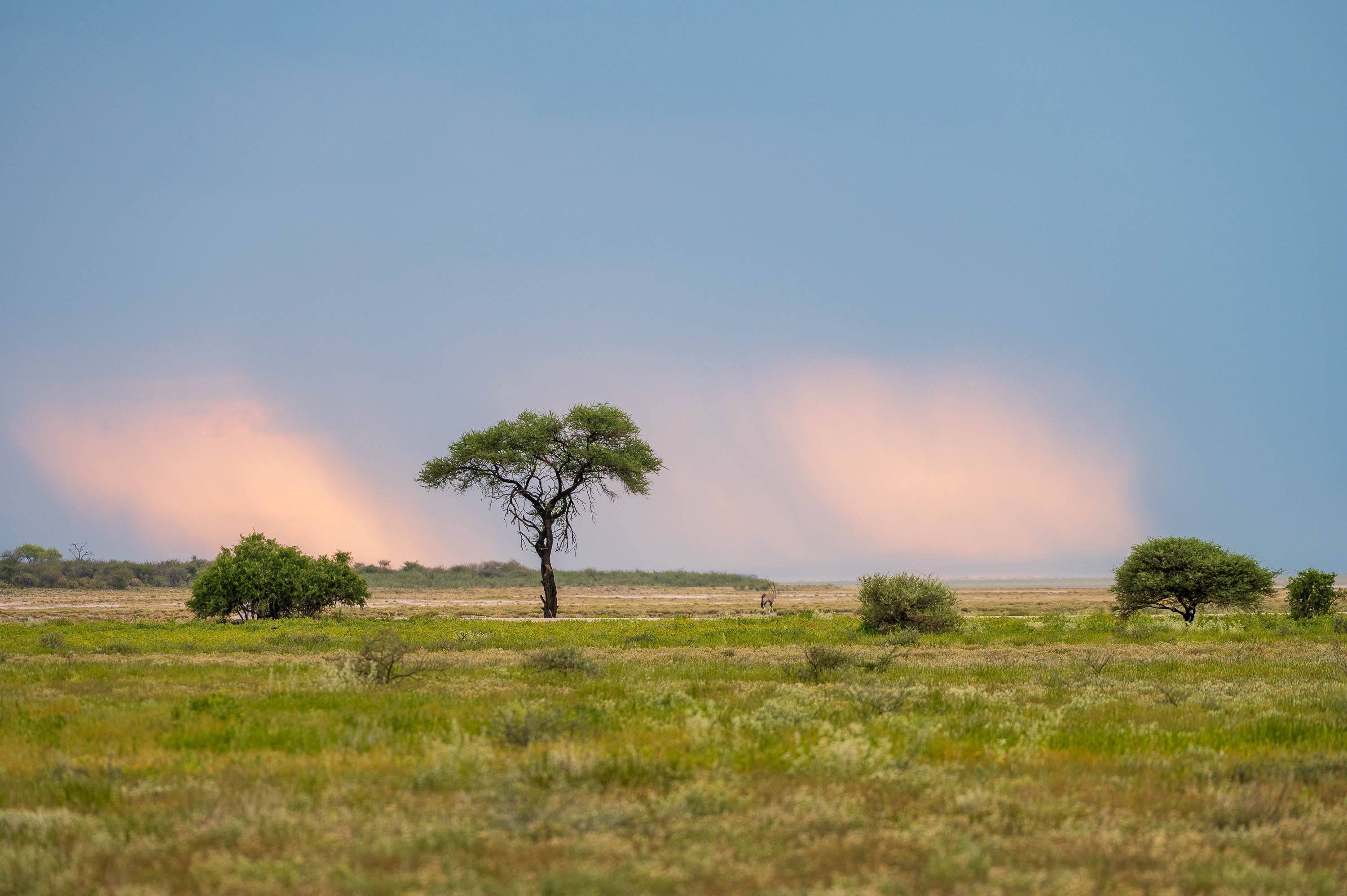 Afrika Reisefotografie 70