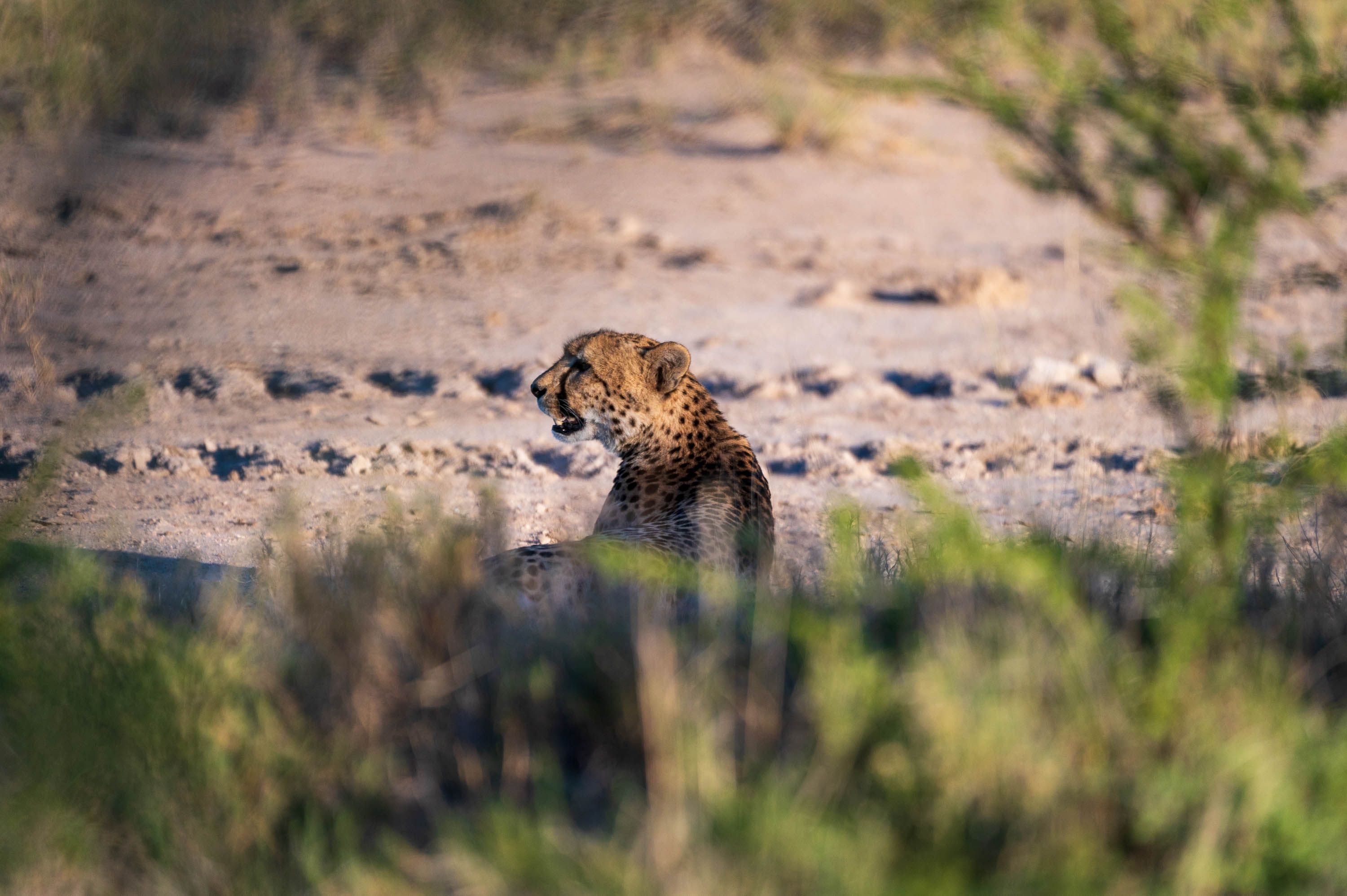 Afrika Reisefotografie 72