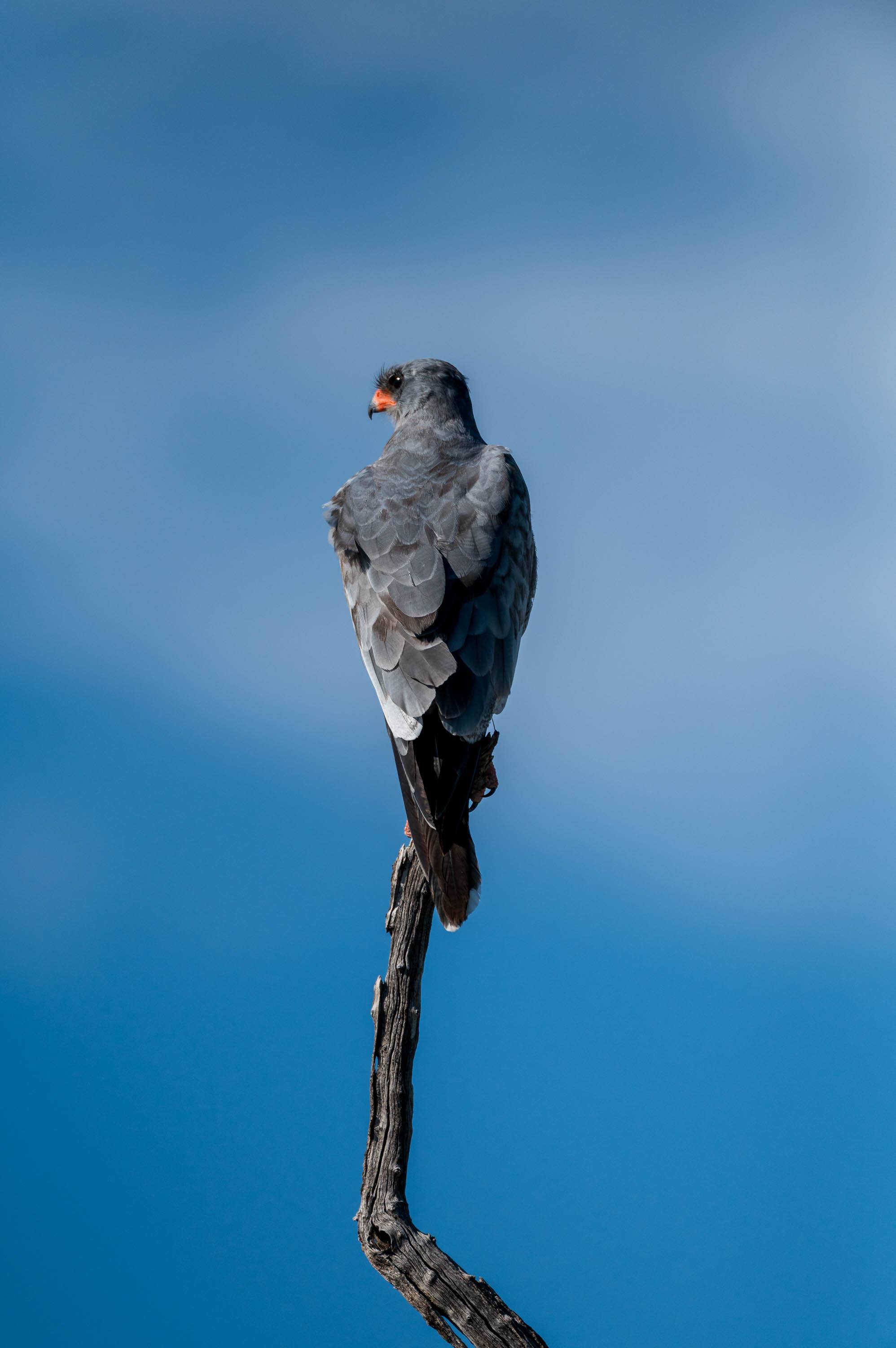 Afrika Reisefotografie 73